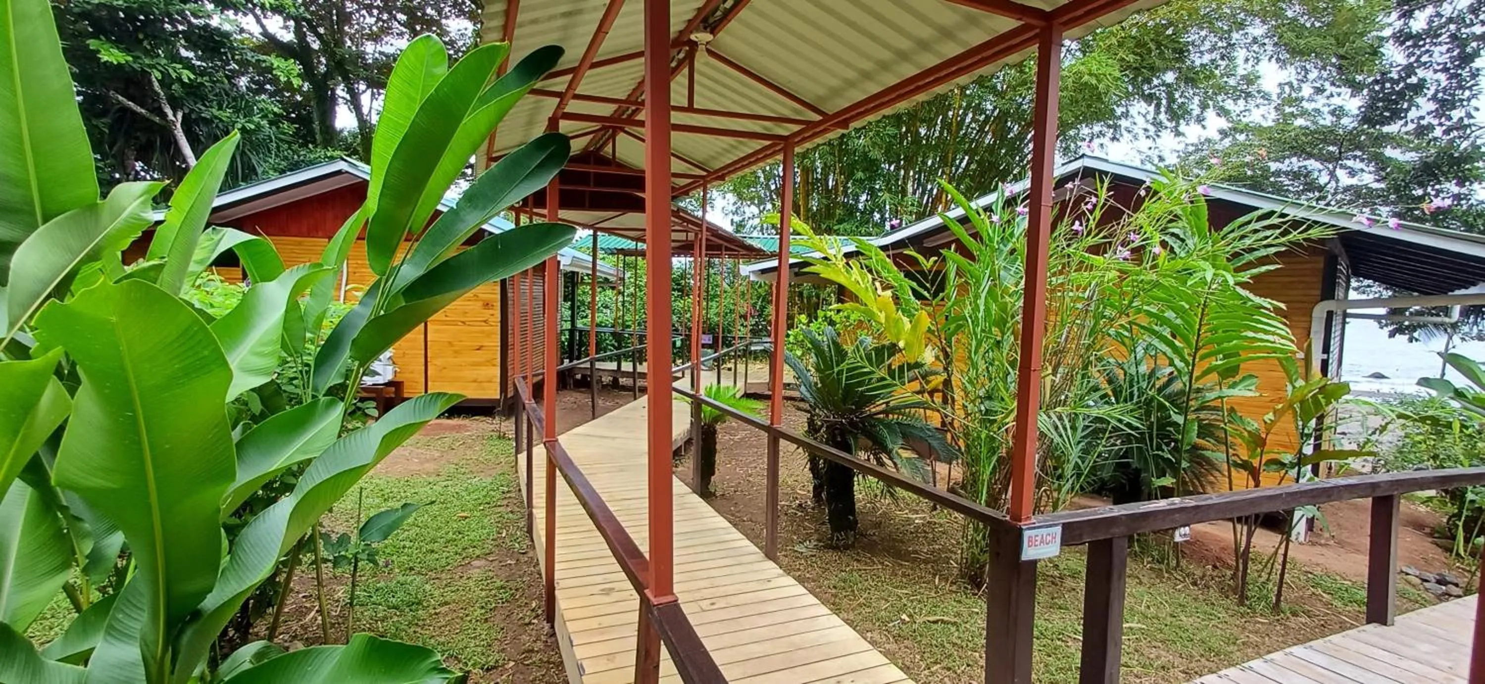 Garden in Pirate Cove