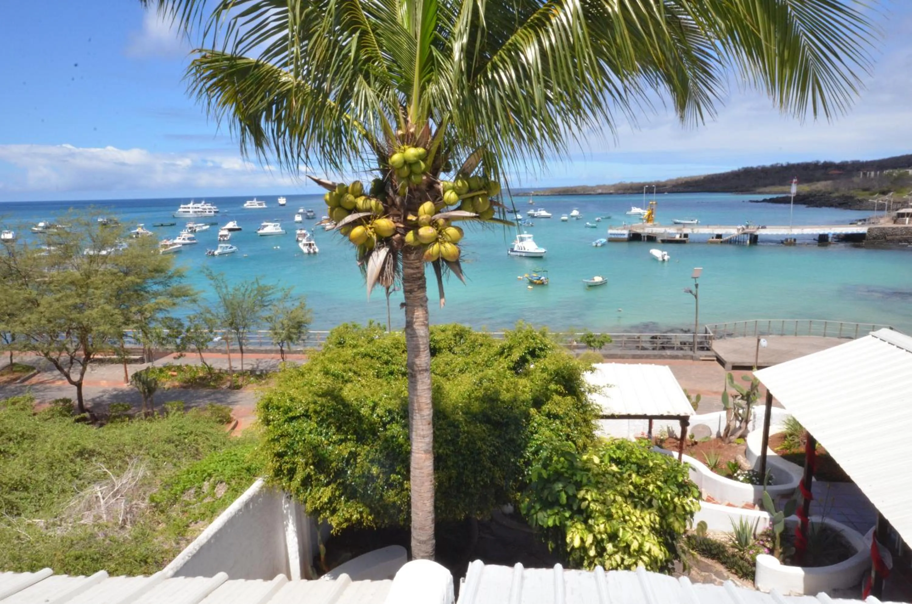 Balcony/Terrace in Casa Opuntia