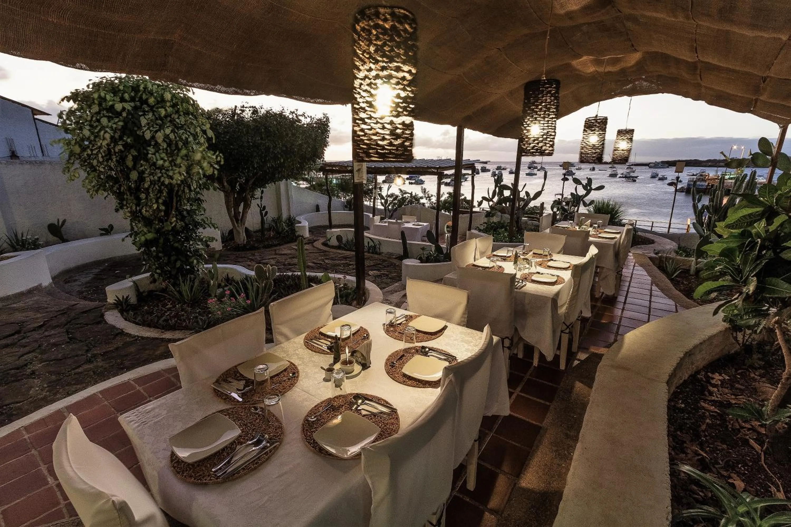 Restaurant/places to eat in Casa Opuntia