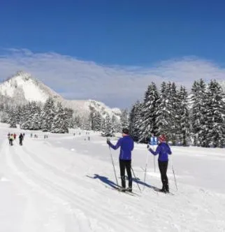Skiing in Draxlerhaus