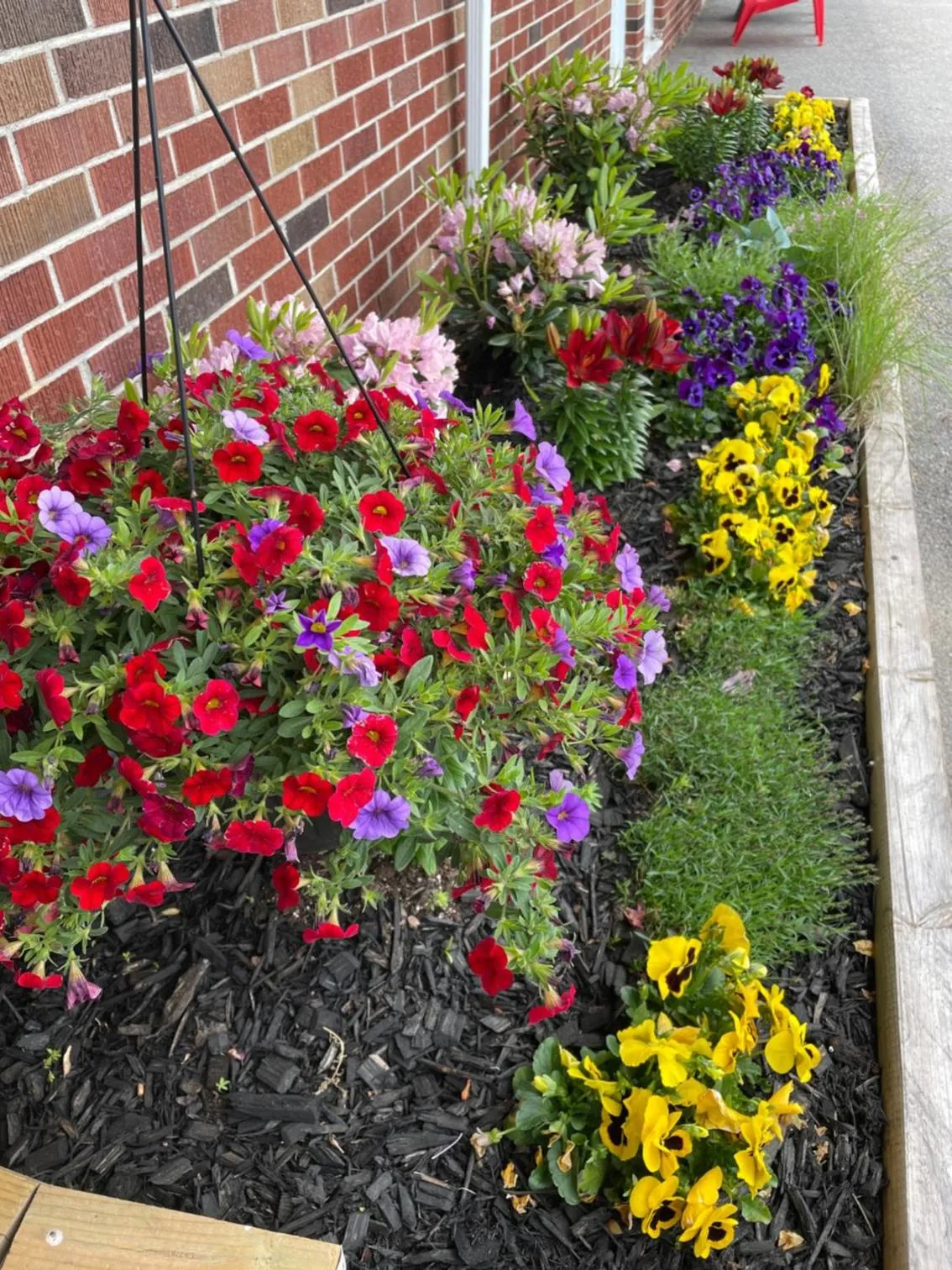 Garden in Winsome Inn