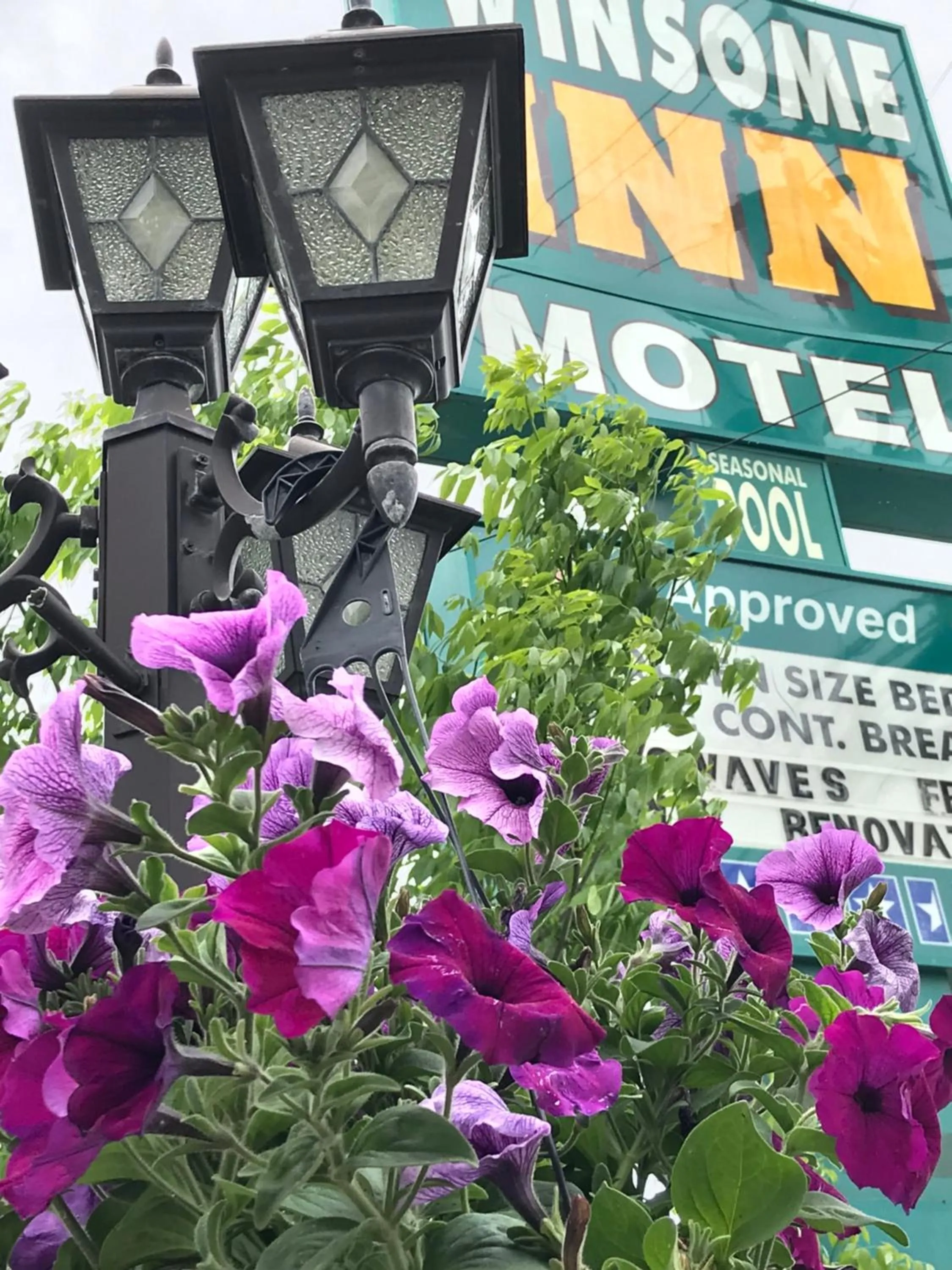 Property logo or sign in Winsome Inn