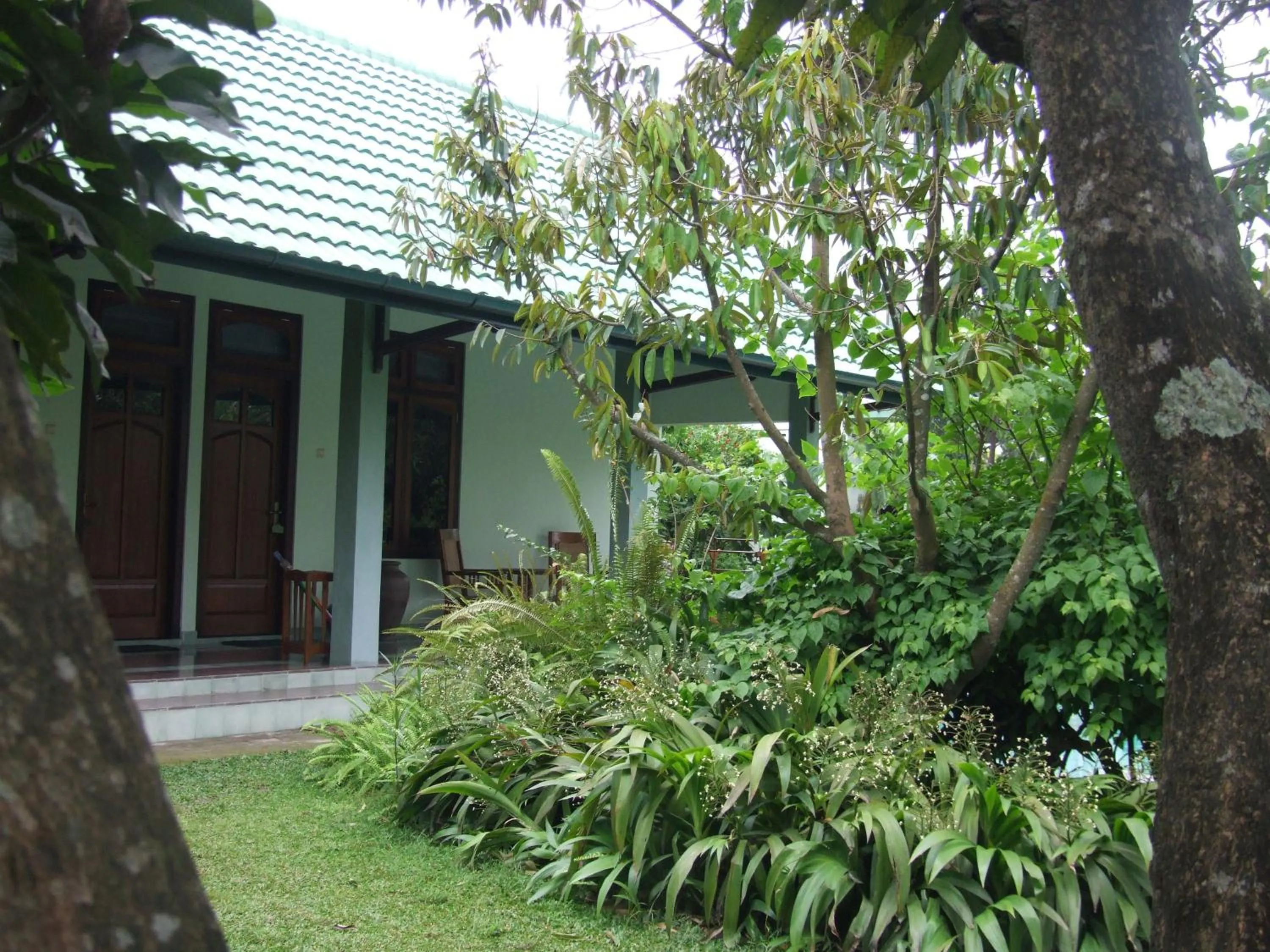 Property building in Rumah Sawah