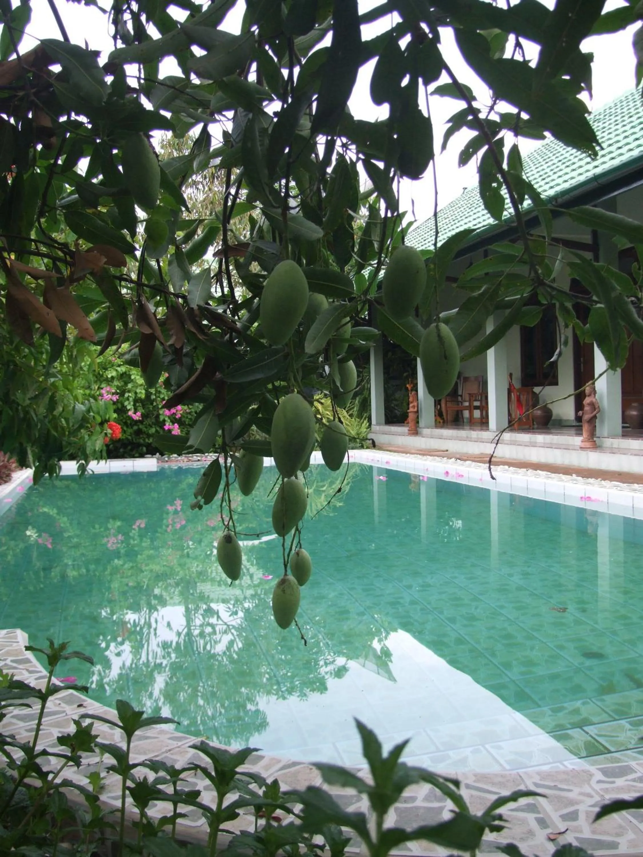 Pool view in Rumah Sawah