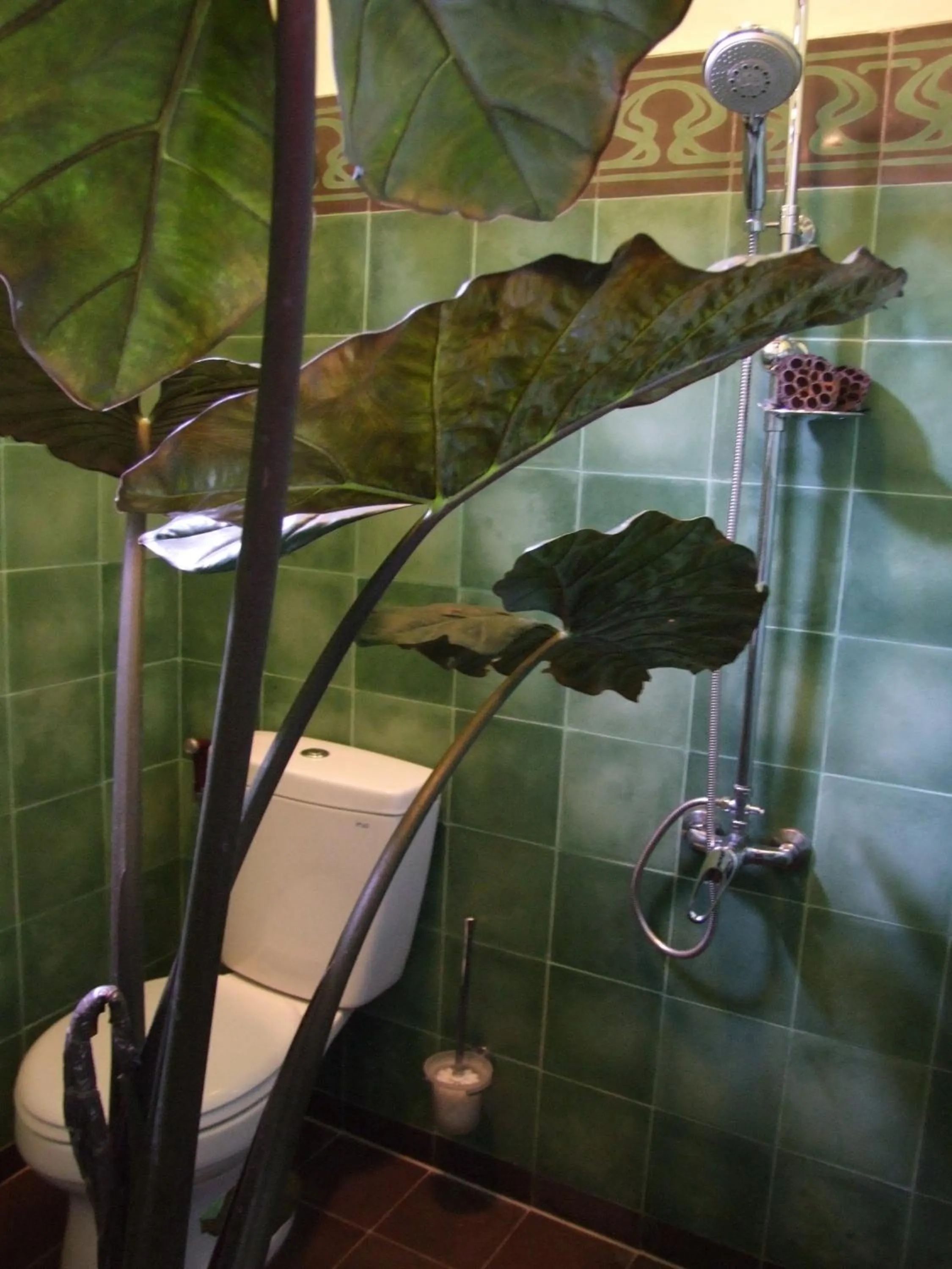Bathroom in Rumah Sawah