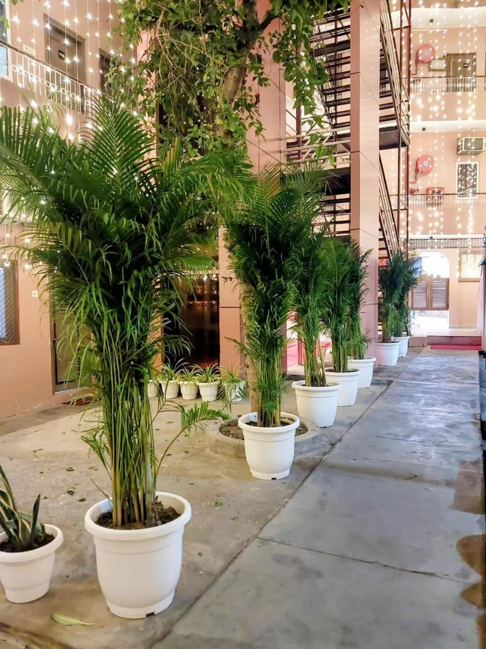 Restaurant/places to eat in Hotel Alka