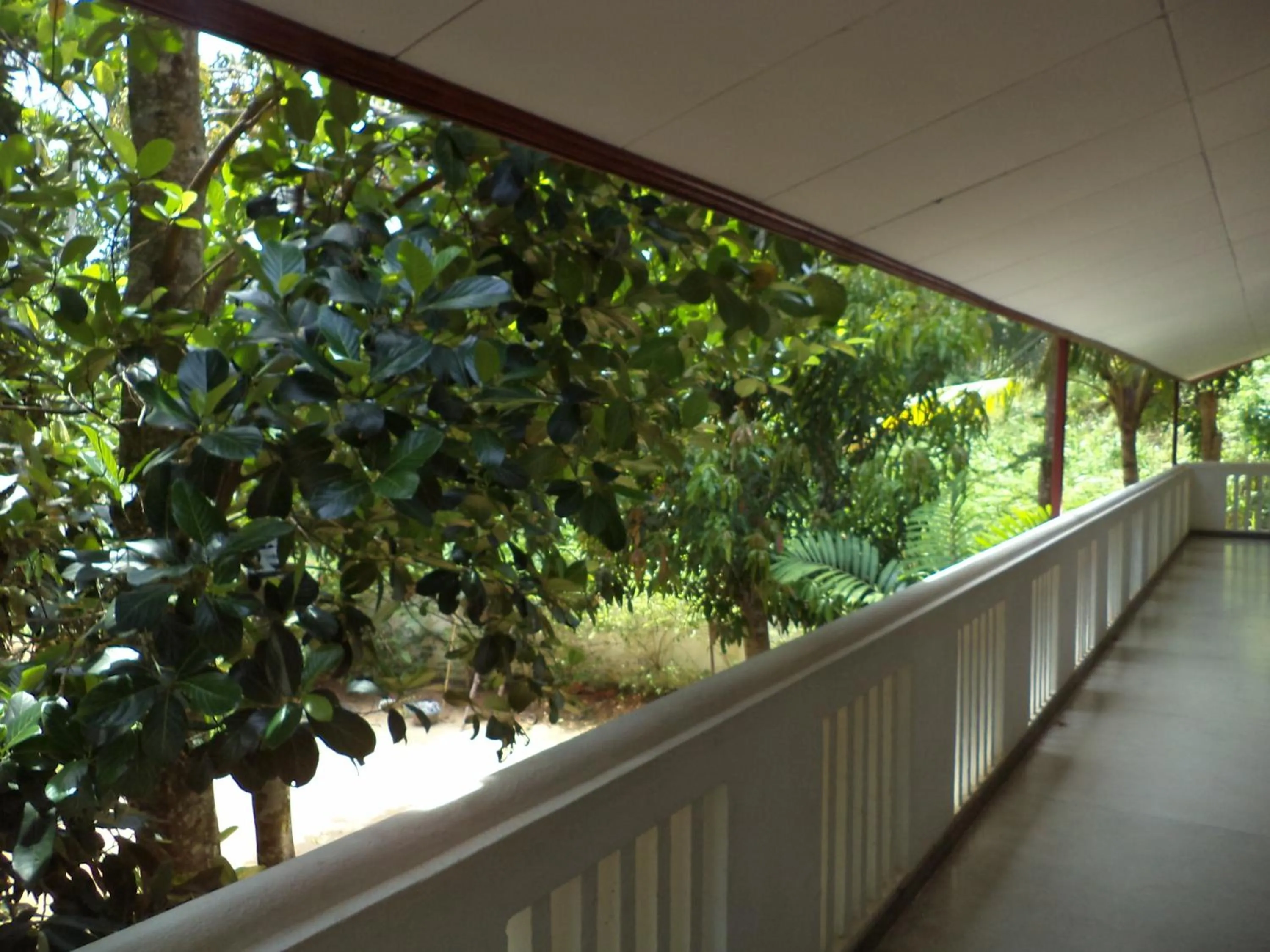 Balcony/Terrace in Celestial Inn