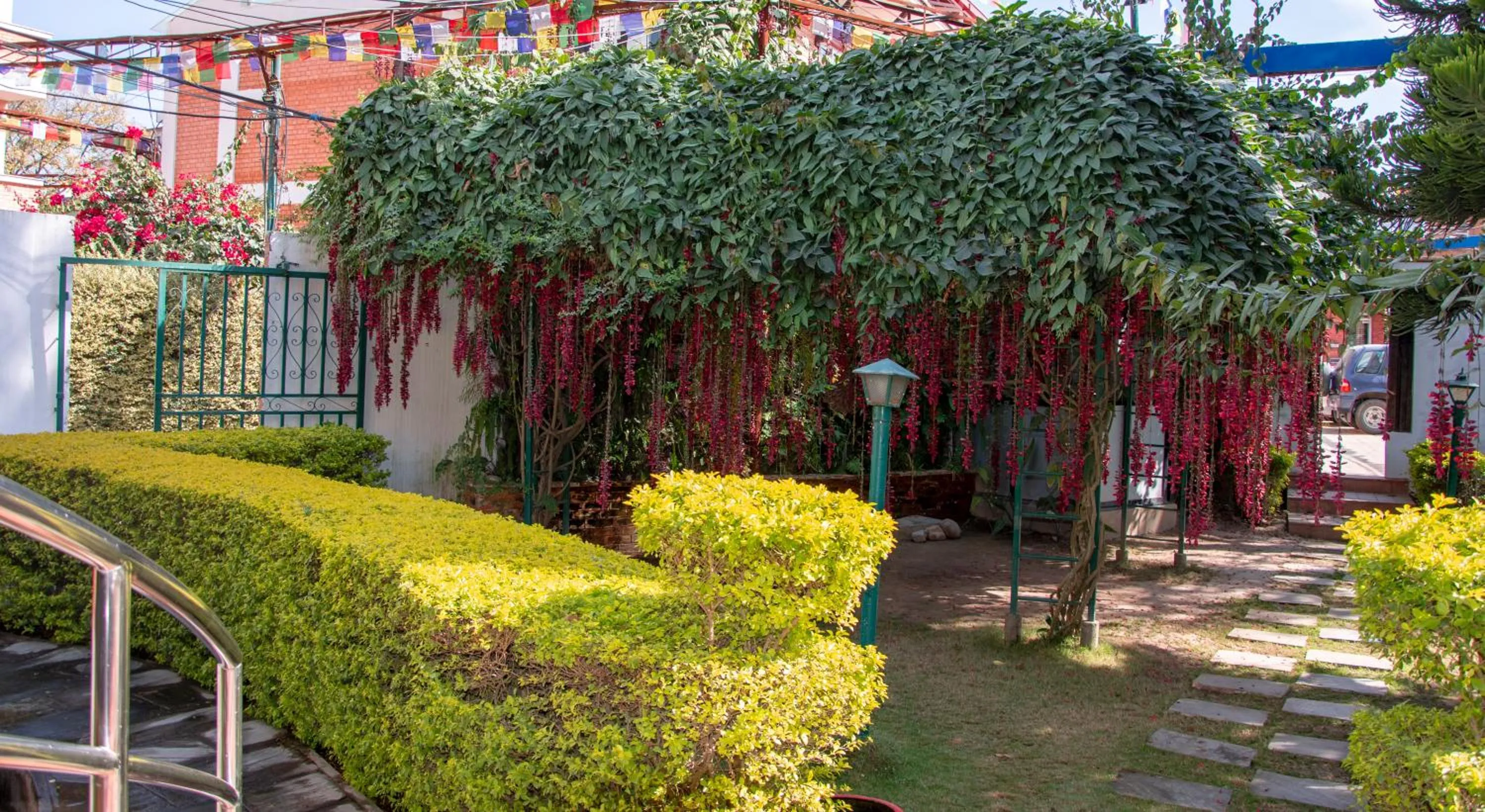 Garden in Shaligram Hotel