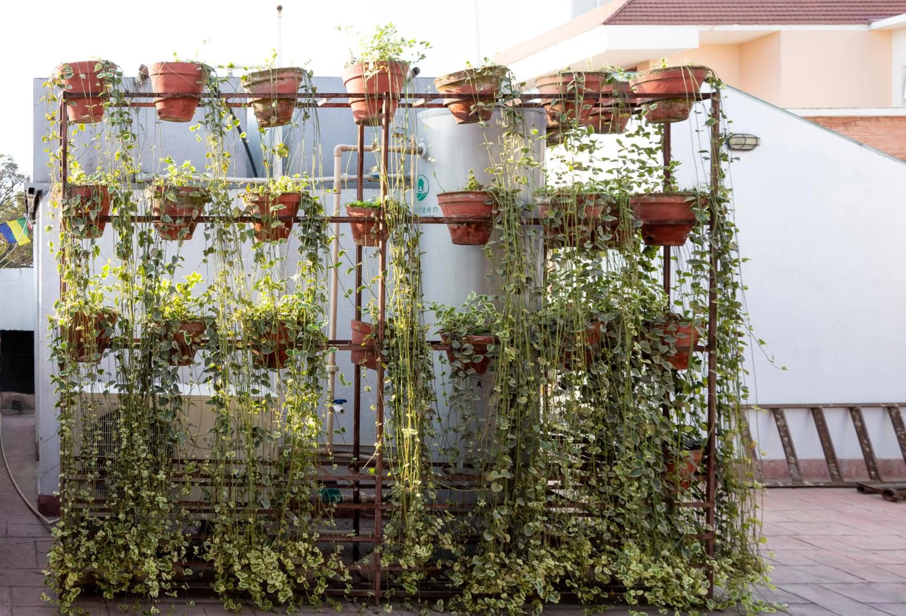 Garden in Shaligram Hotel