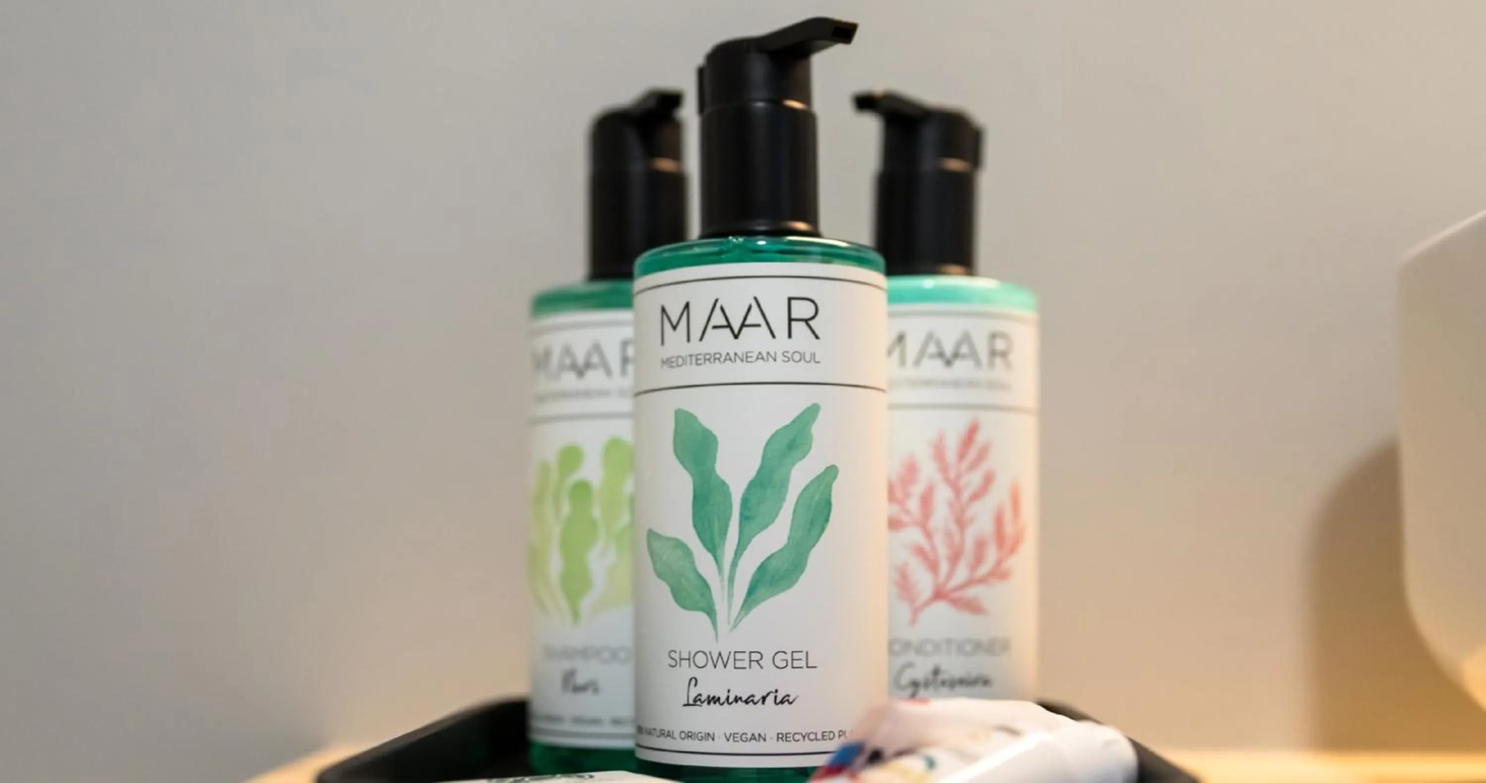 Decorative detail in Doniños Nature