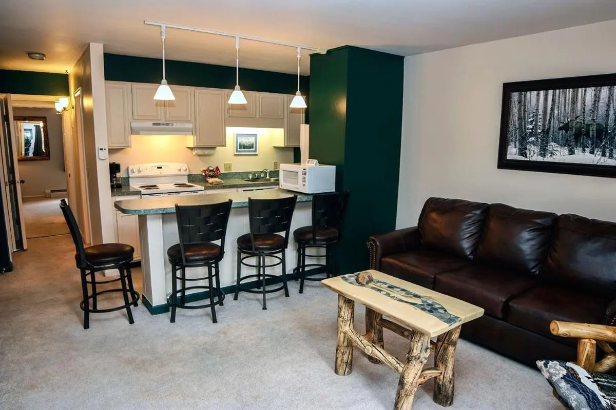 Kitchen or kitchenette in Fawn Valley Inn- 282 condo