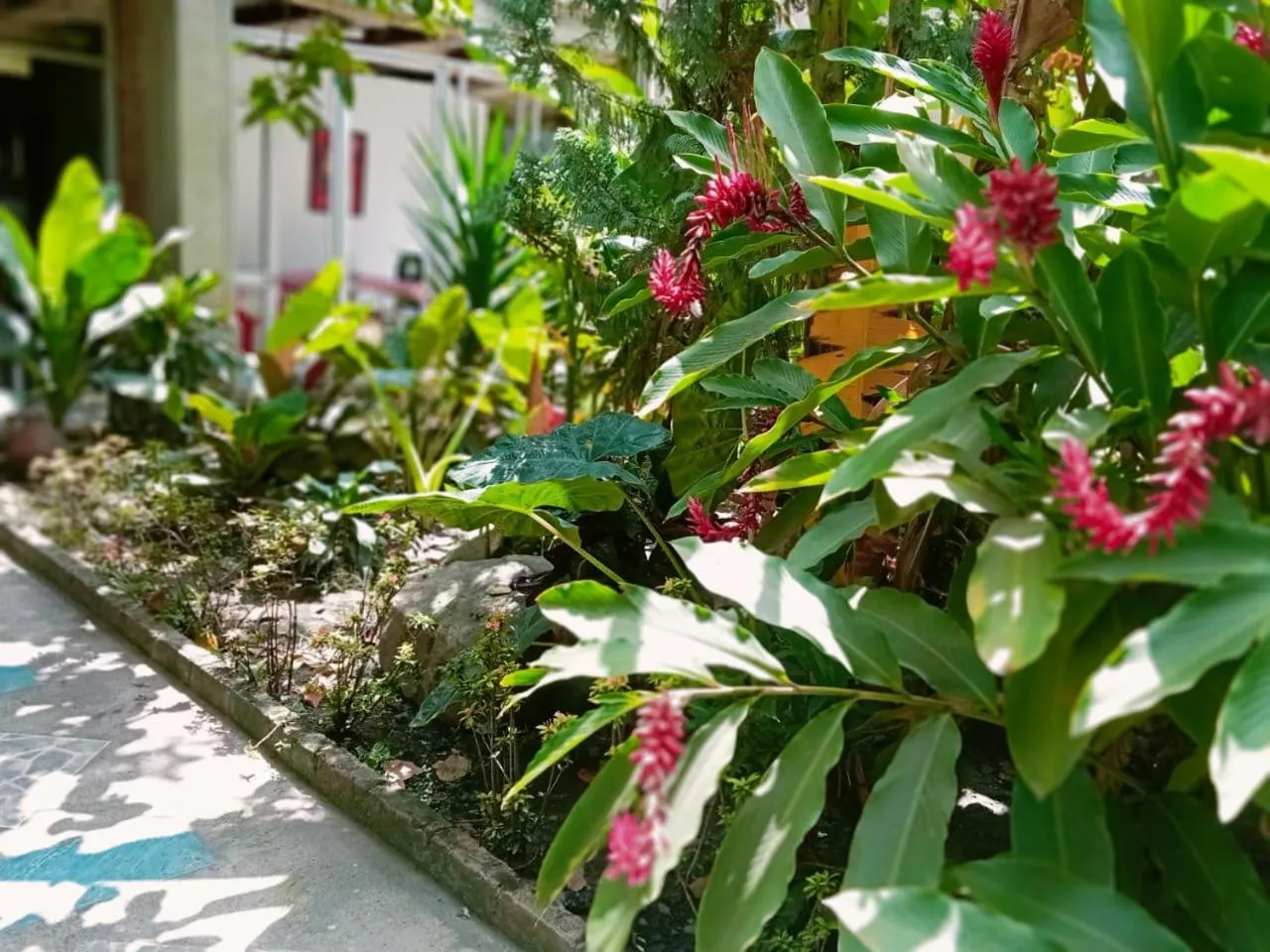 Spring in HIDALGO HOTEL