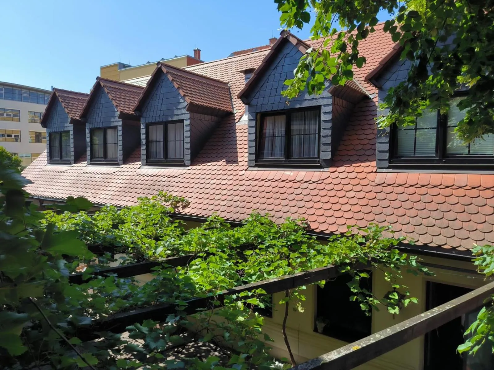 Garden view in Ritters Weinstuben