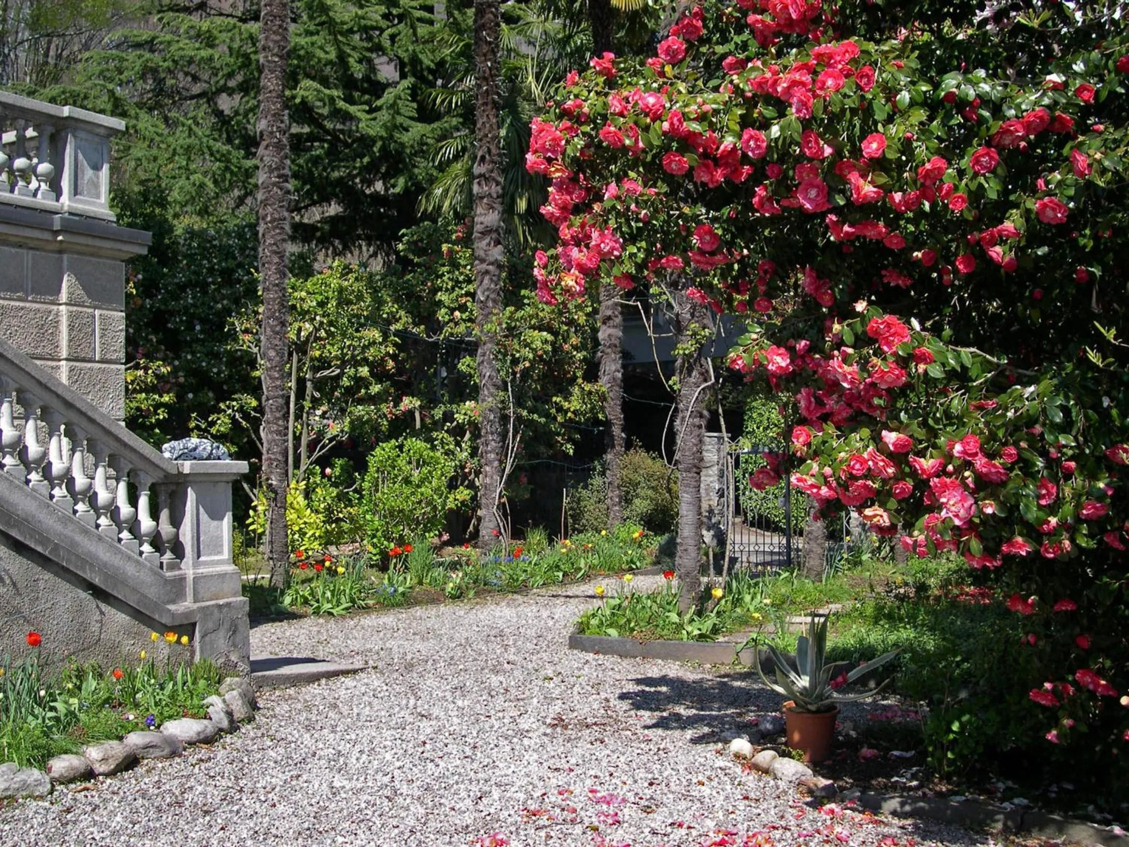 Garden in Bed and Breakfast Casa Locarno