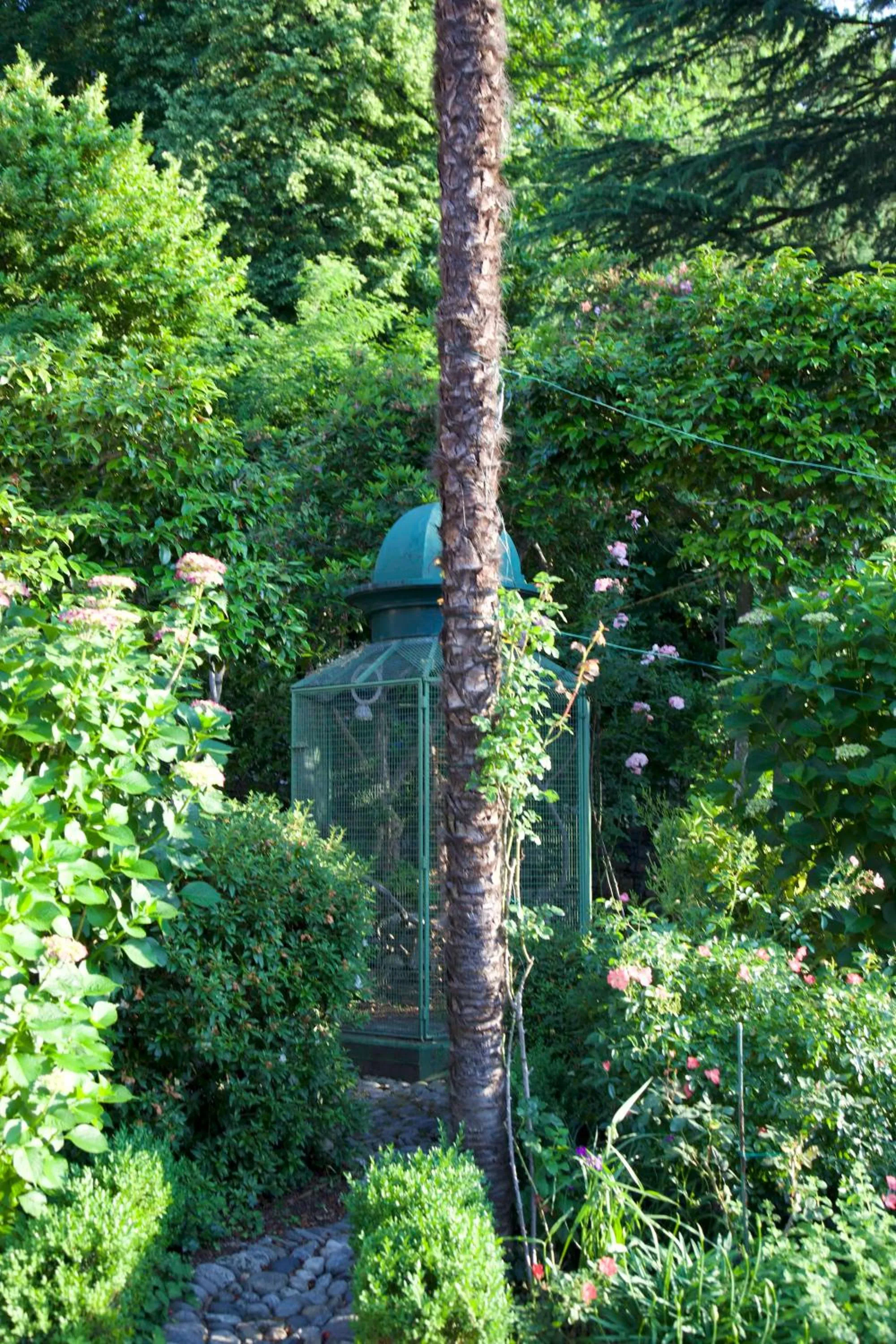 Garden in Bed and Breakfast Casa Locarno