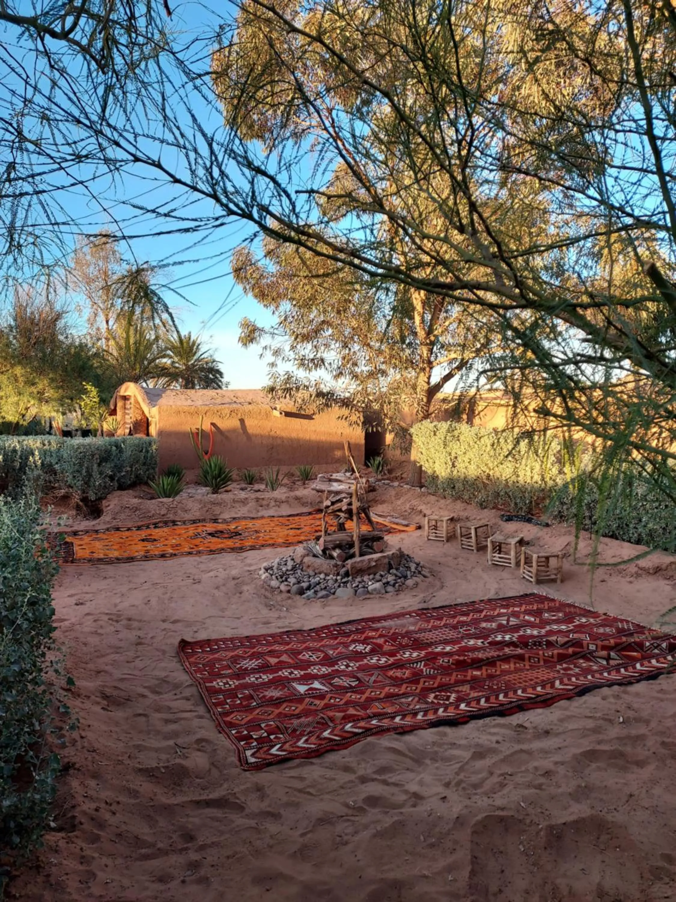 Garden in Riad ma bonne étoile