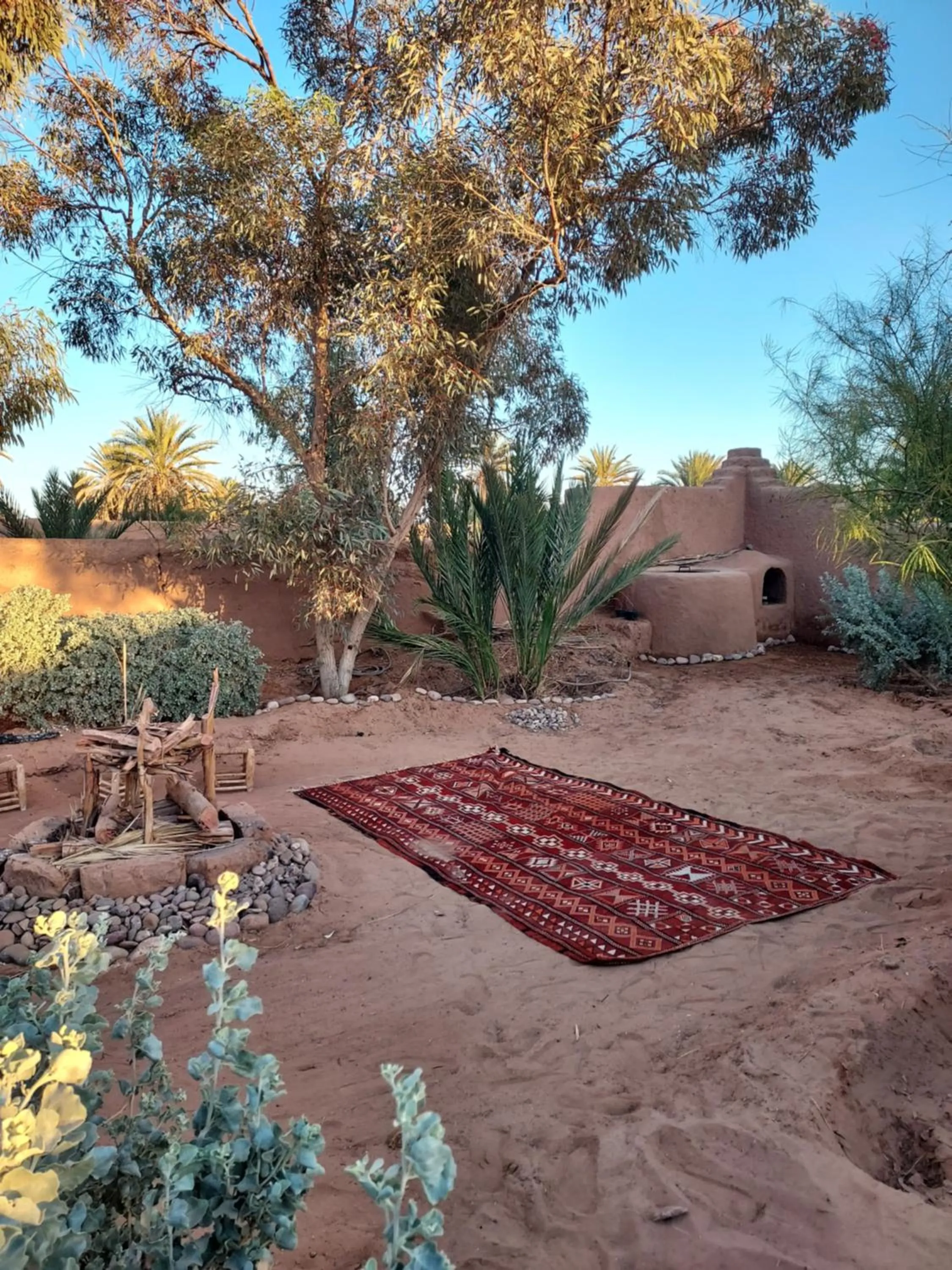 Garden in Riad ma bonne étoile