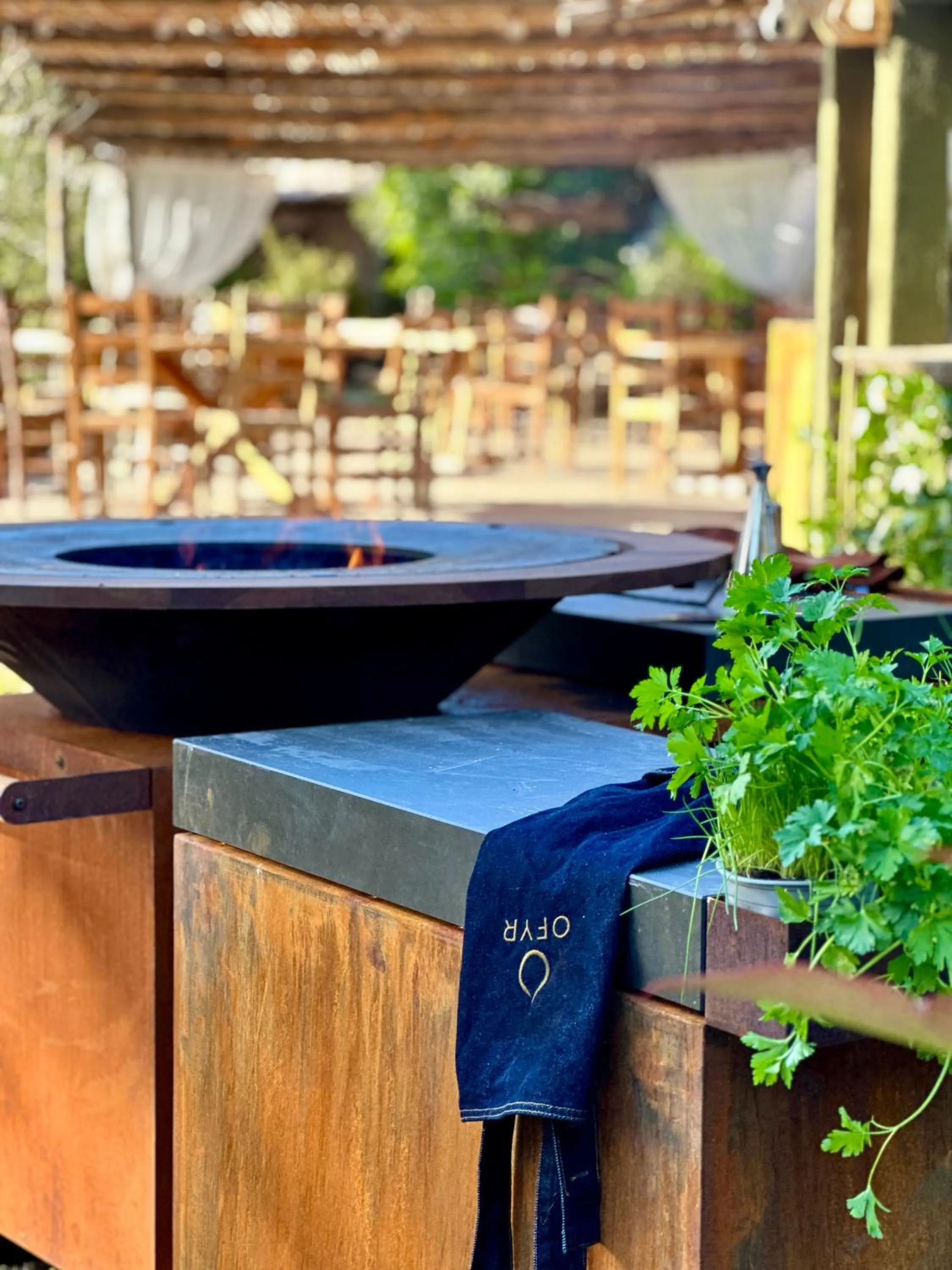 Restaurant/places to eat in Hôtel Palombaggia