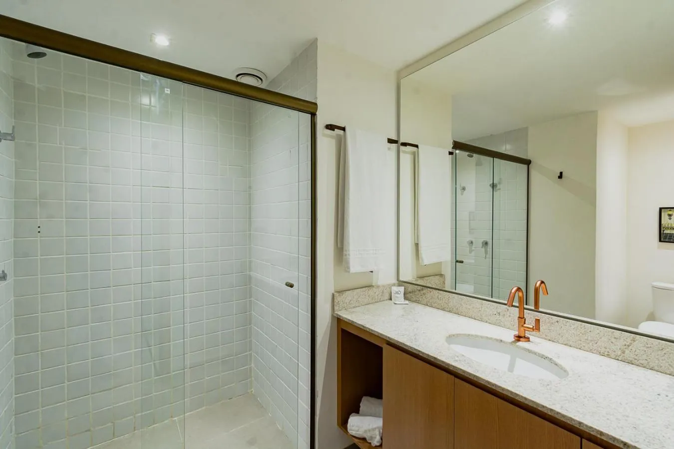 Shower in 360 Rio Santos Dumont