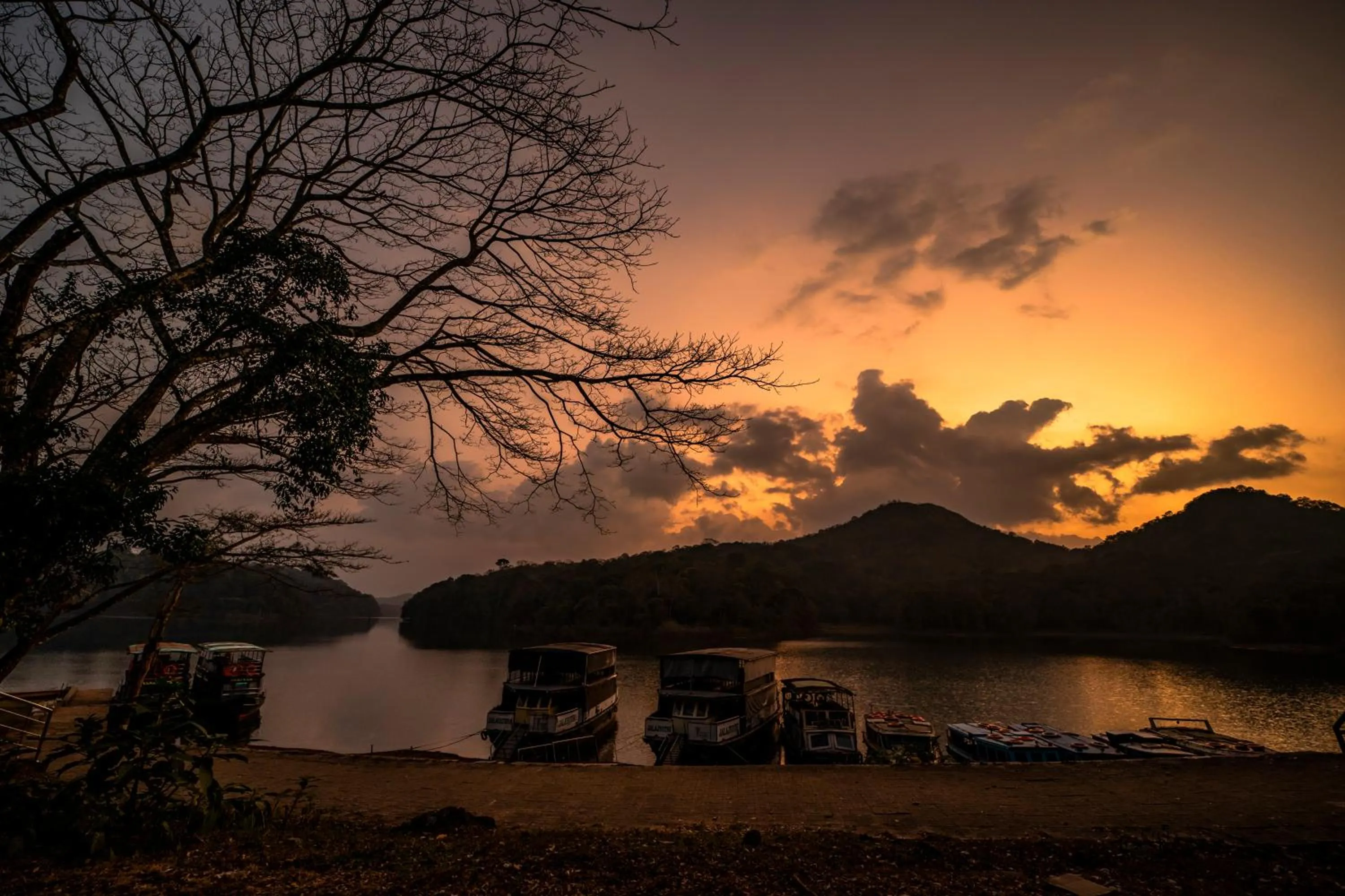 Lake view in Aranya Nivas