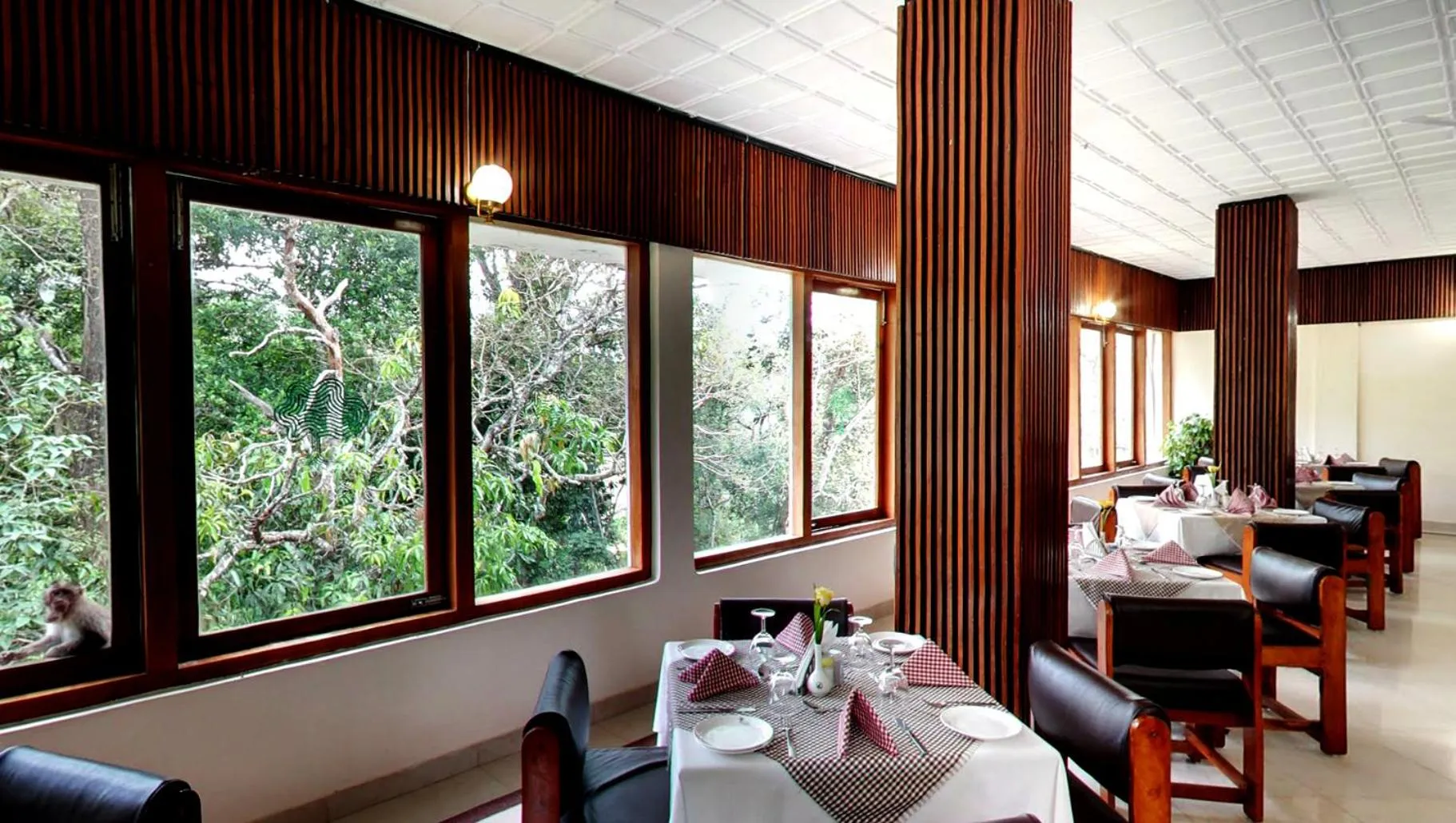 Restaurant/places to eat in Aranya Nivas