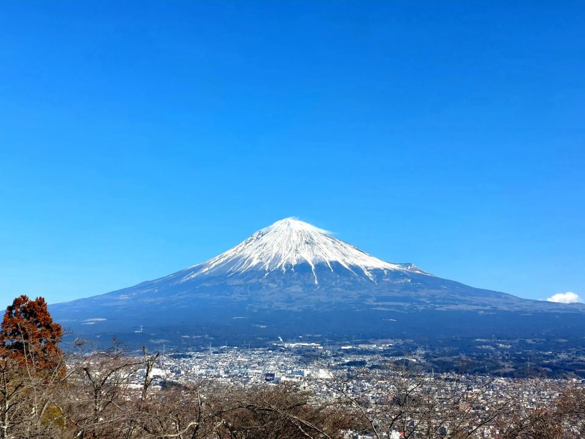 Natural landscape in Tokiwa Hotel