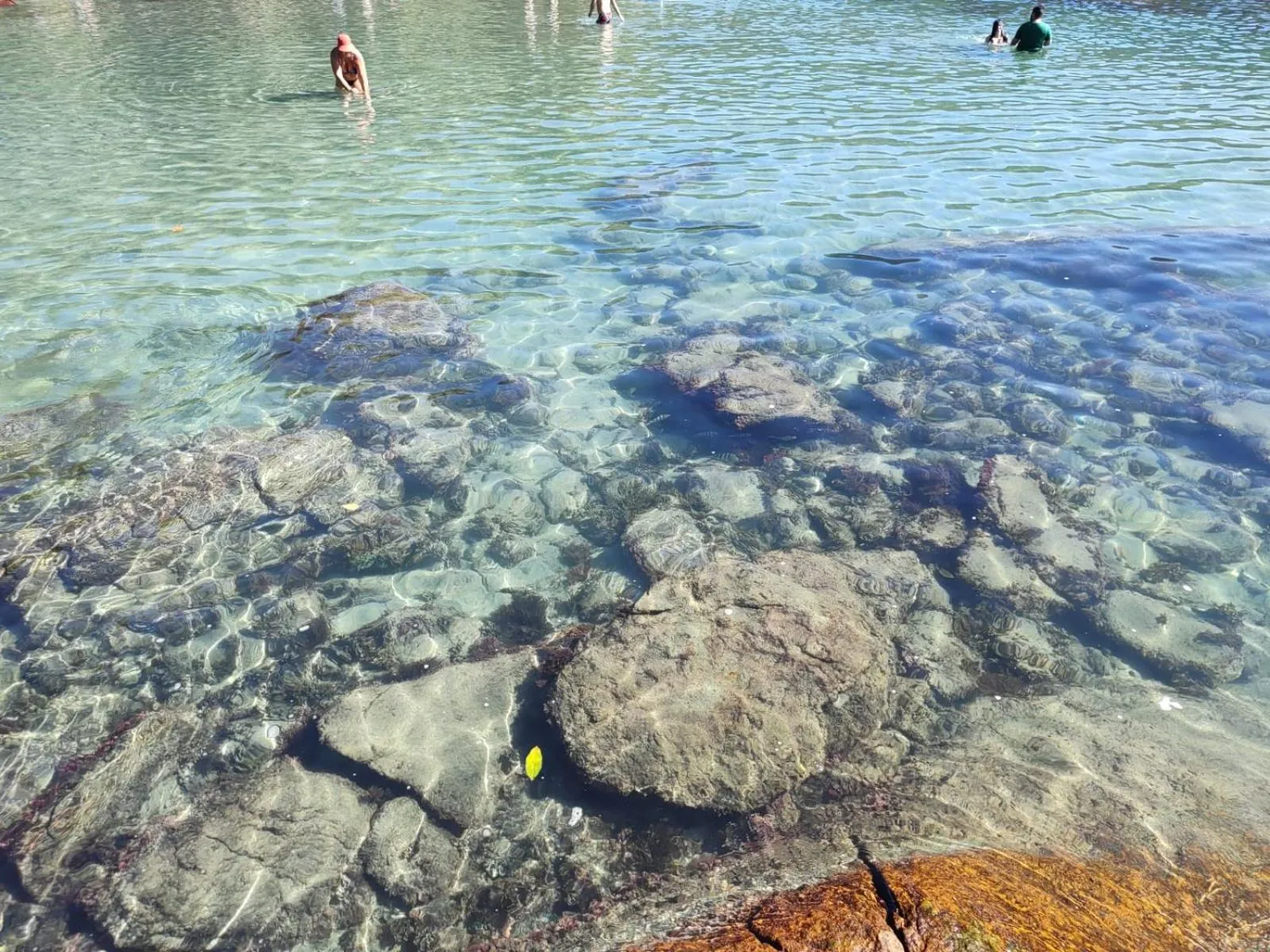 Day in Hotel Bem Te Vi