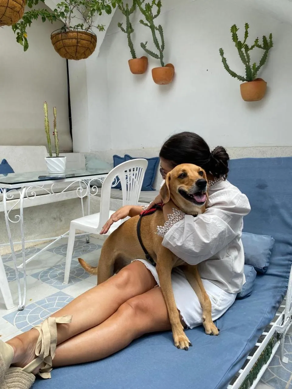 Pets in Selva María Hotel Boutique