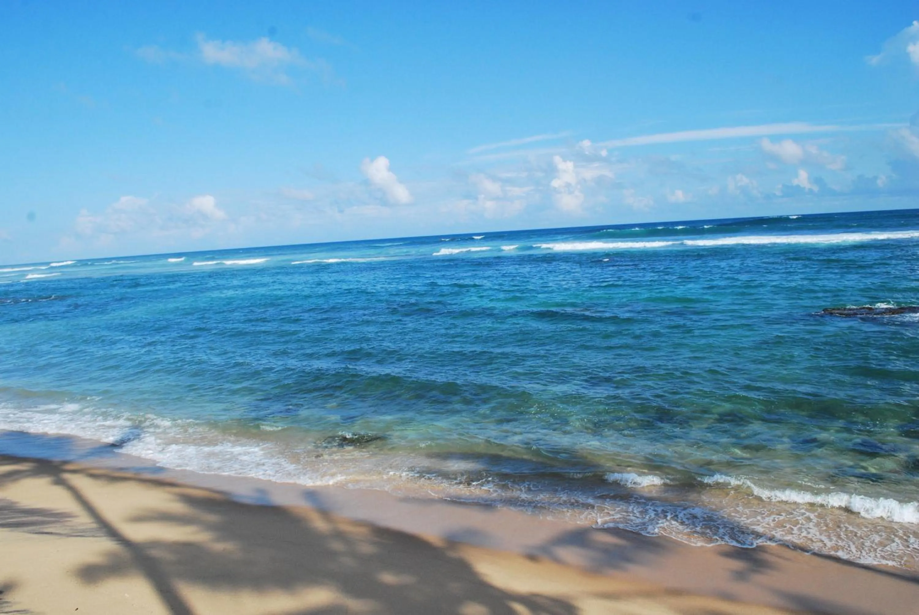 Beach in Beach House