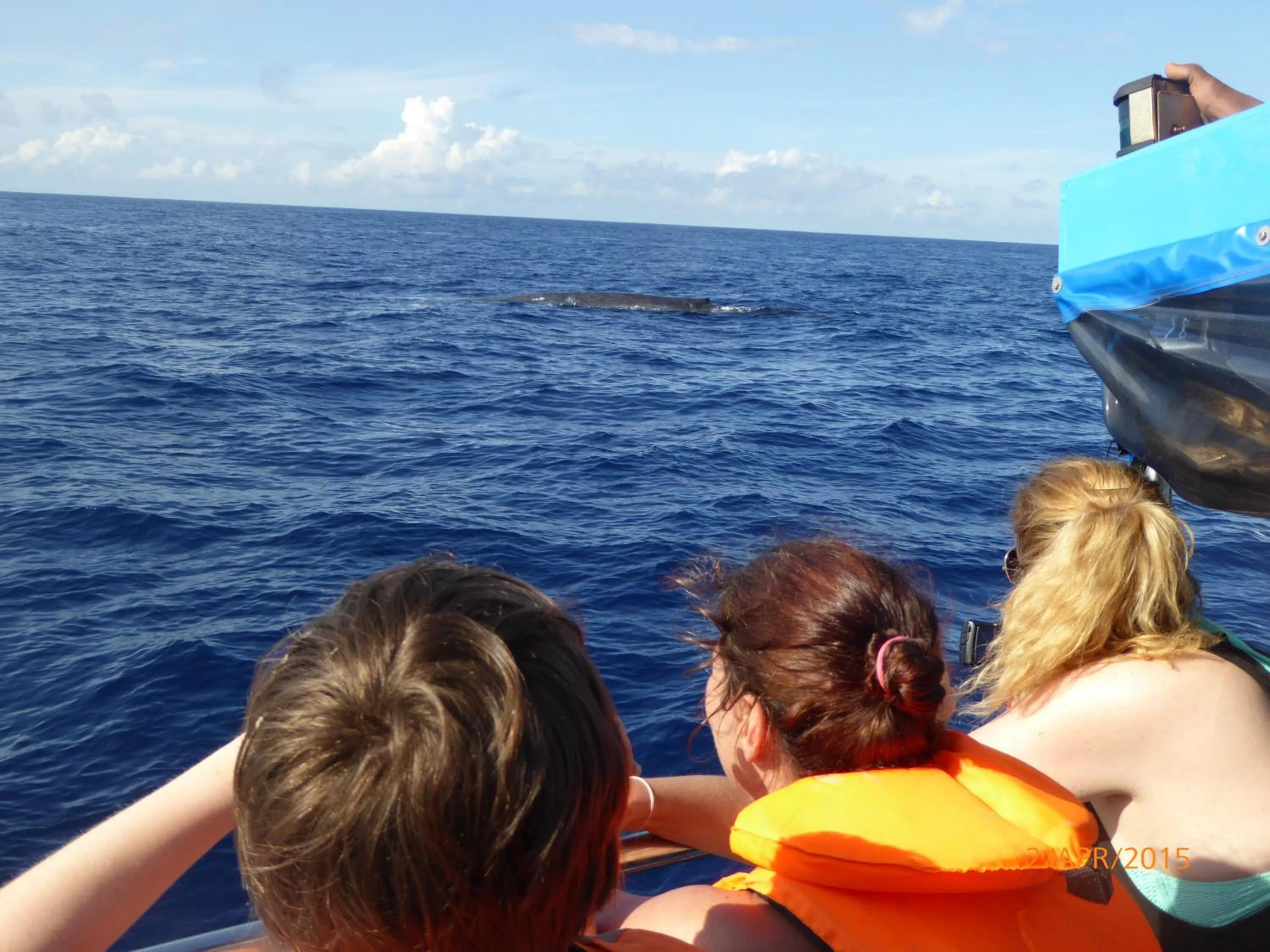 Entertainment in Beach House