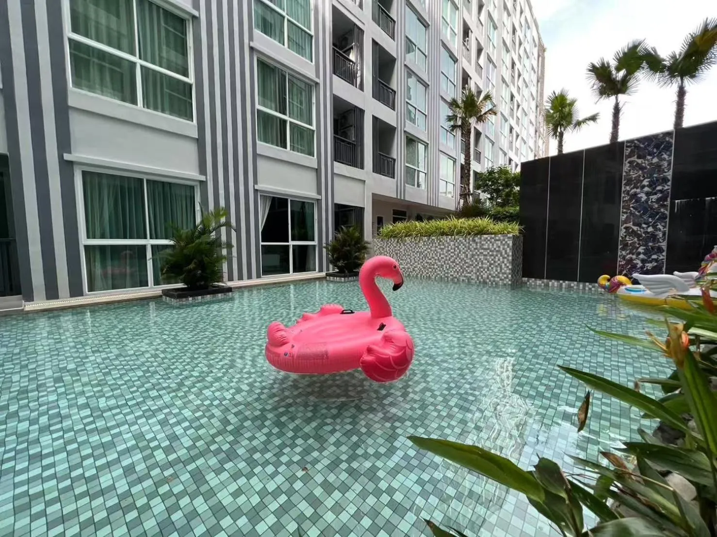 Pool view in D Eco Wellness Center