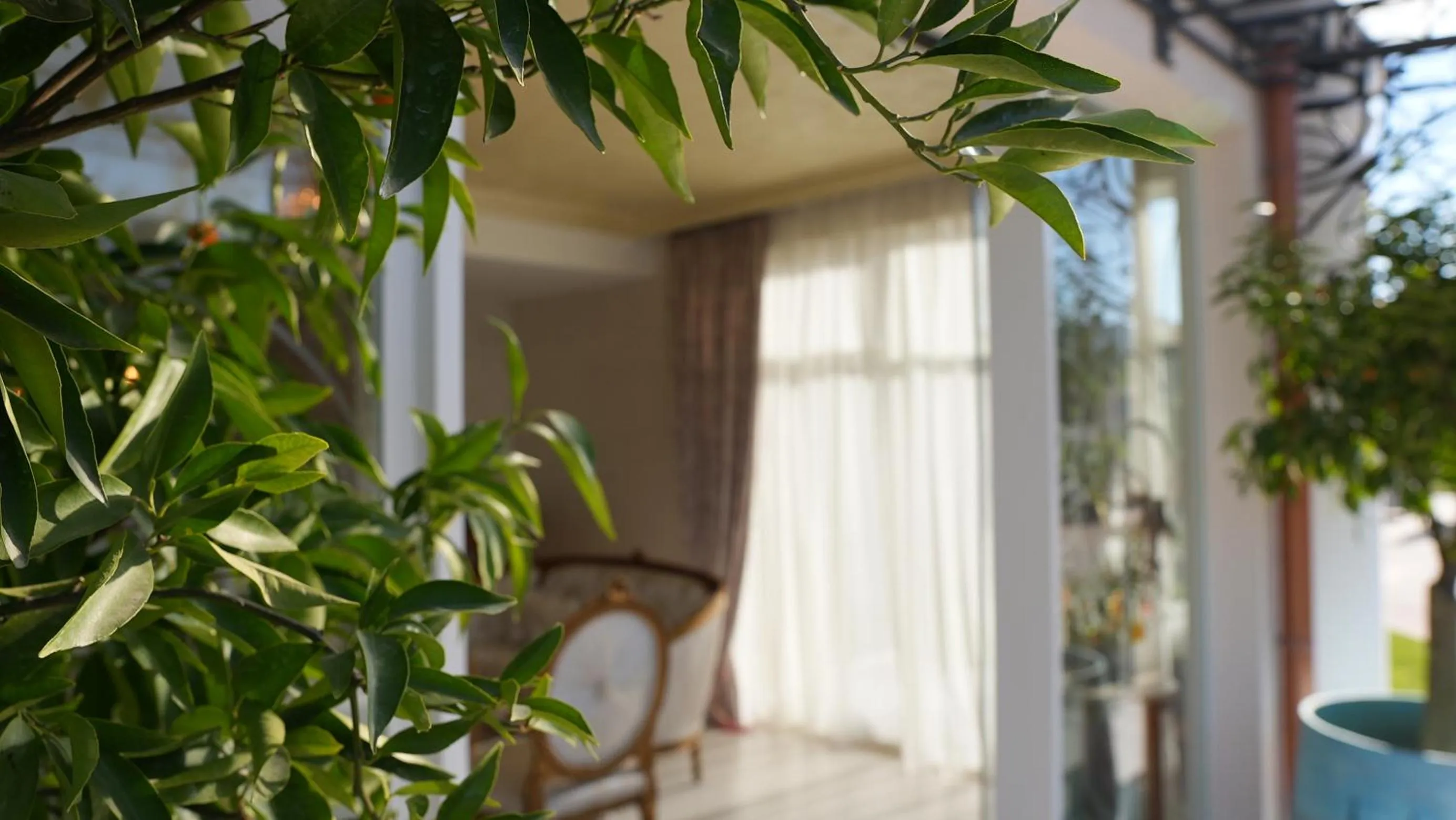 View (from property/room) in Hotel Eiffel