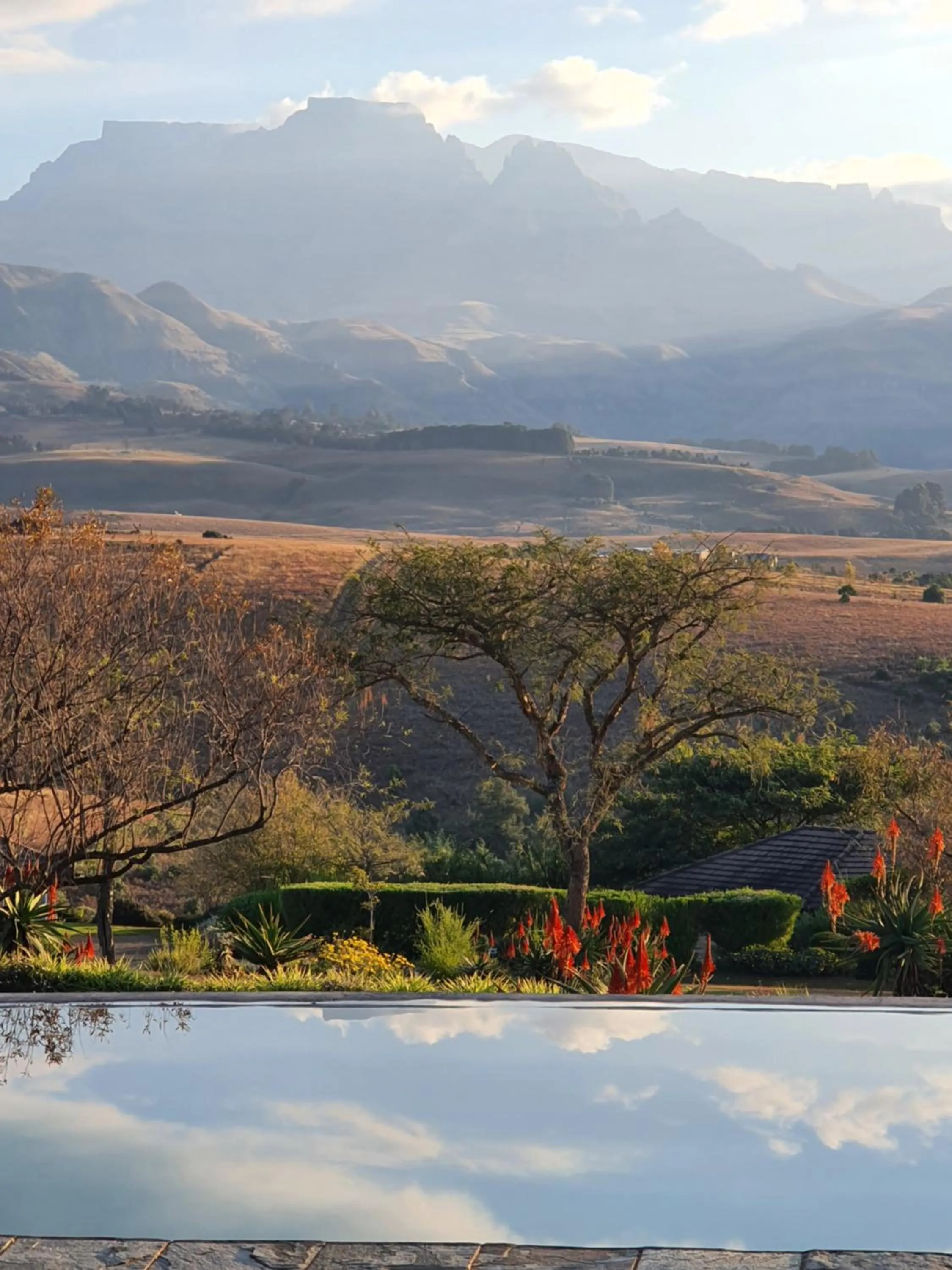 Pool view in Inkungu Lodge