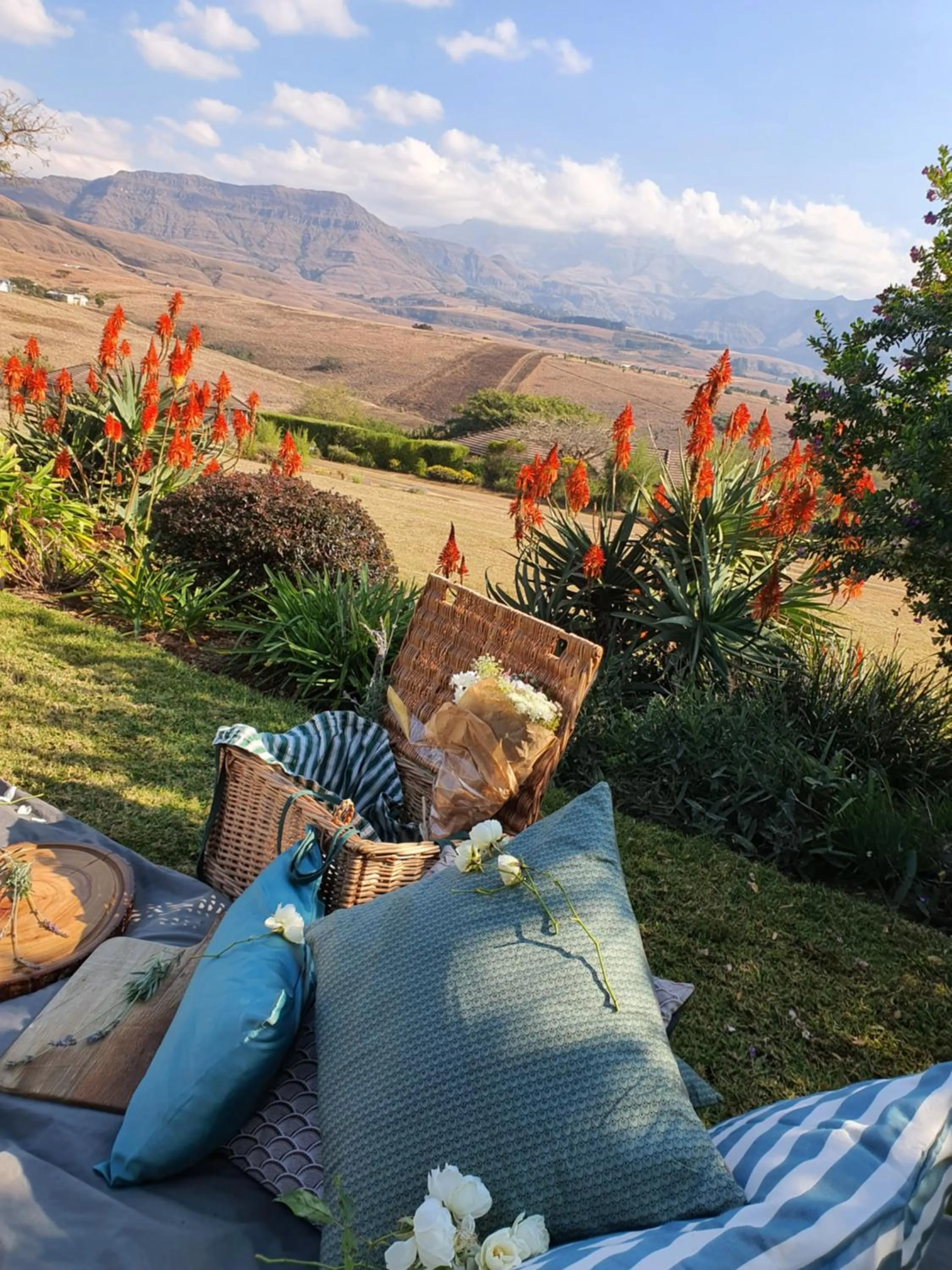 Garden view in Inkungu Lodge