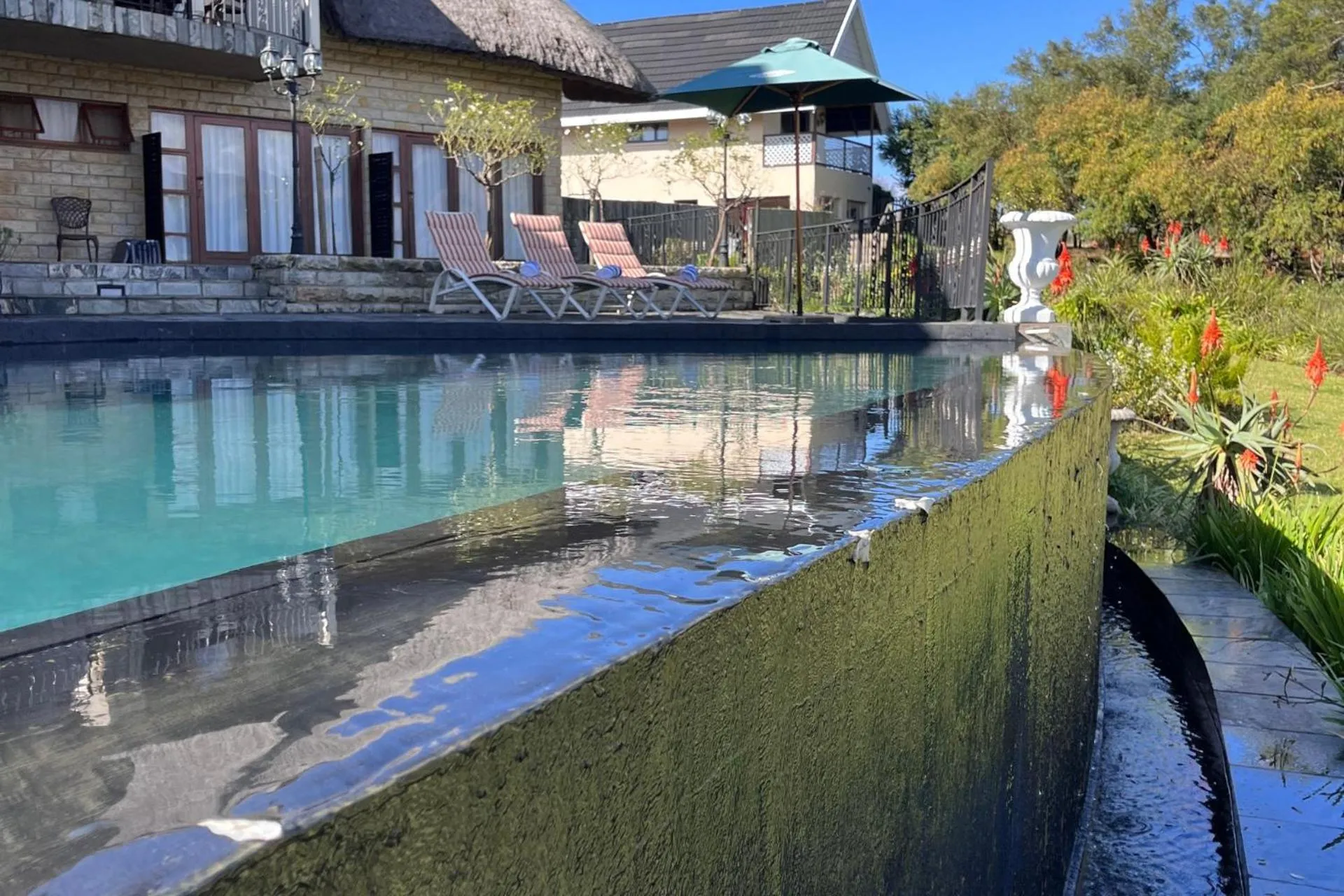 Swimming pool in Inkungu Lodge