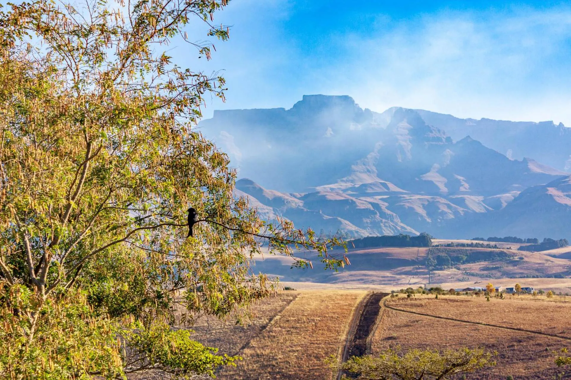 Day in Inkungu Lodge