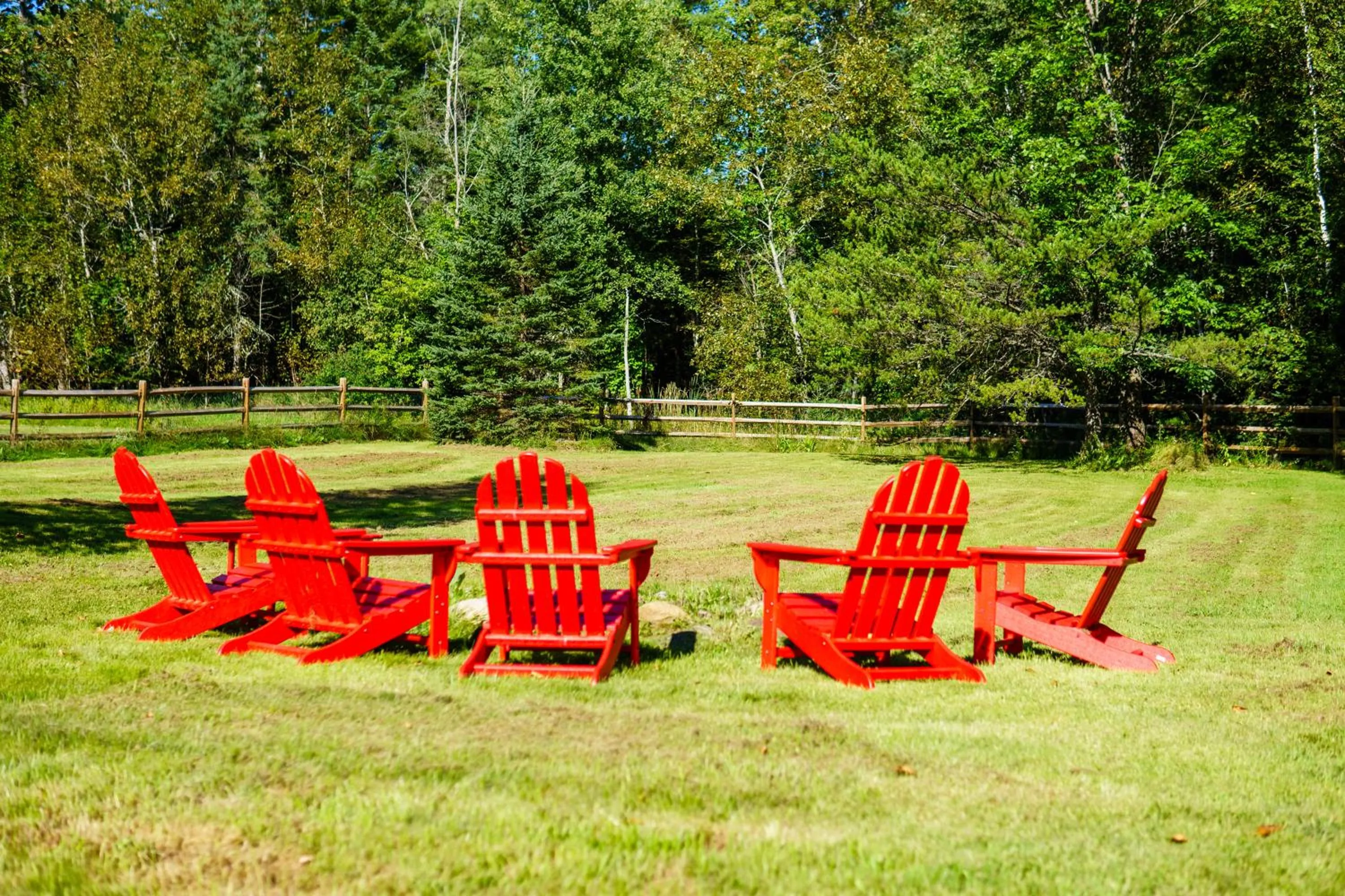Garden in Adirondack Alpine Cabin with Hot Tub, Near Whiteface, Lake Placid, Game Rm, Fenced Yard, Views