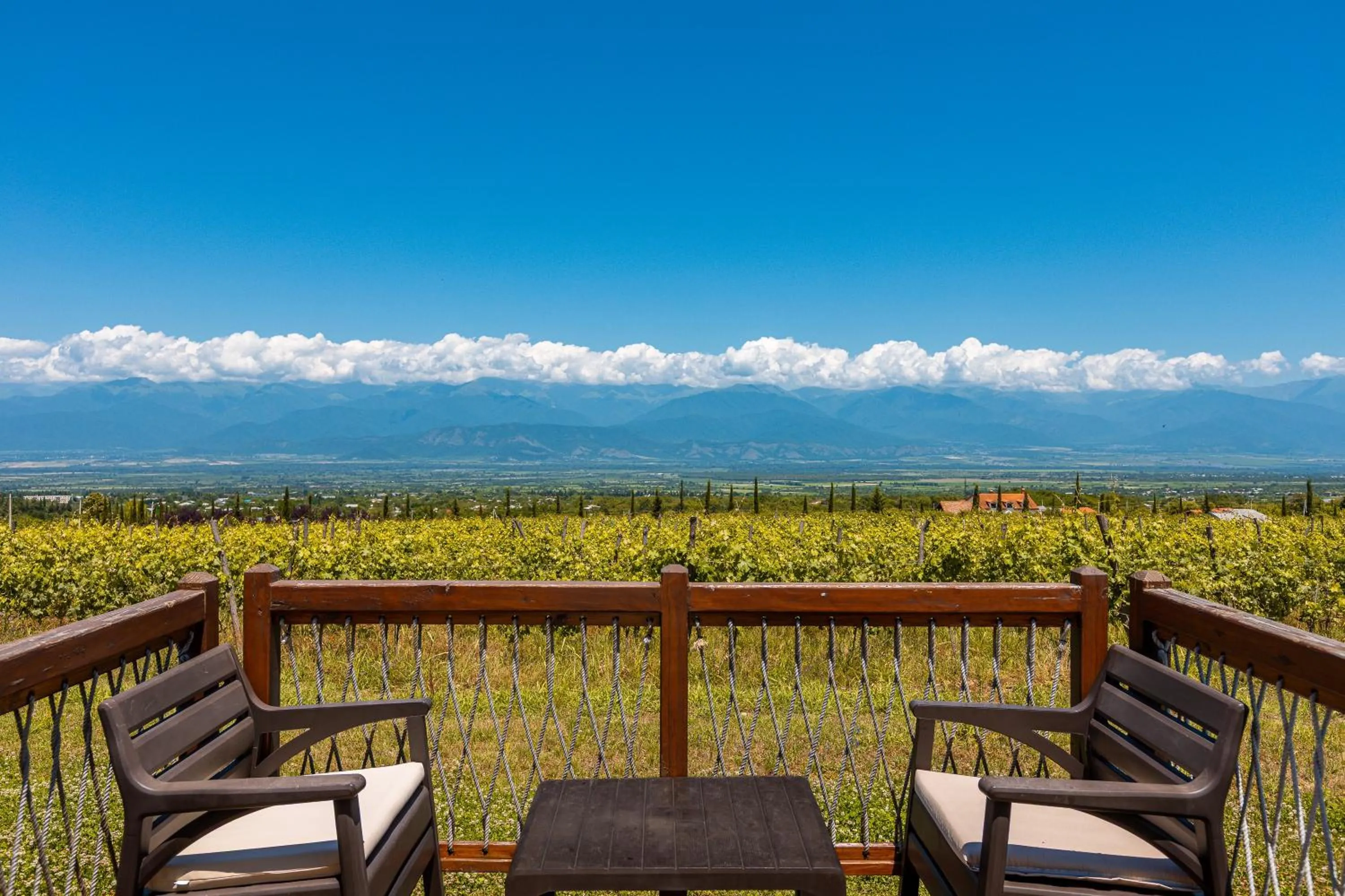 Patio in Hotel Qvevrebi