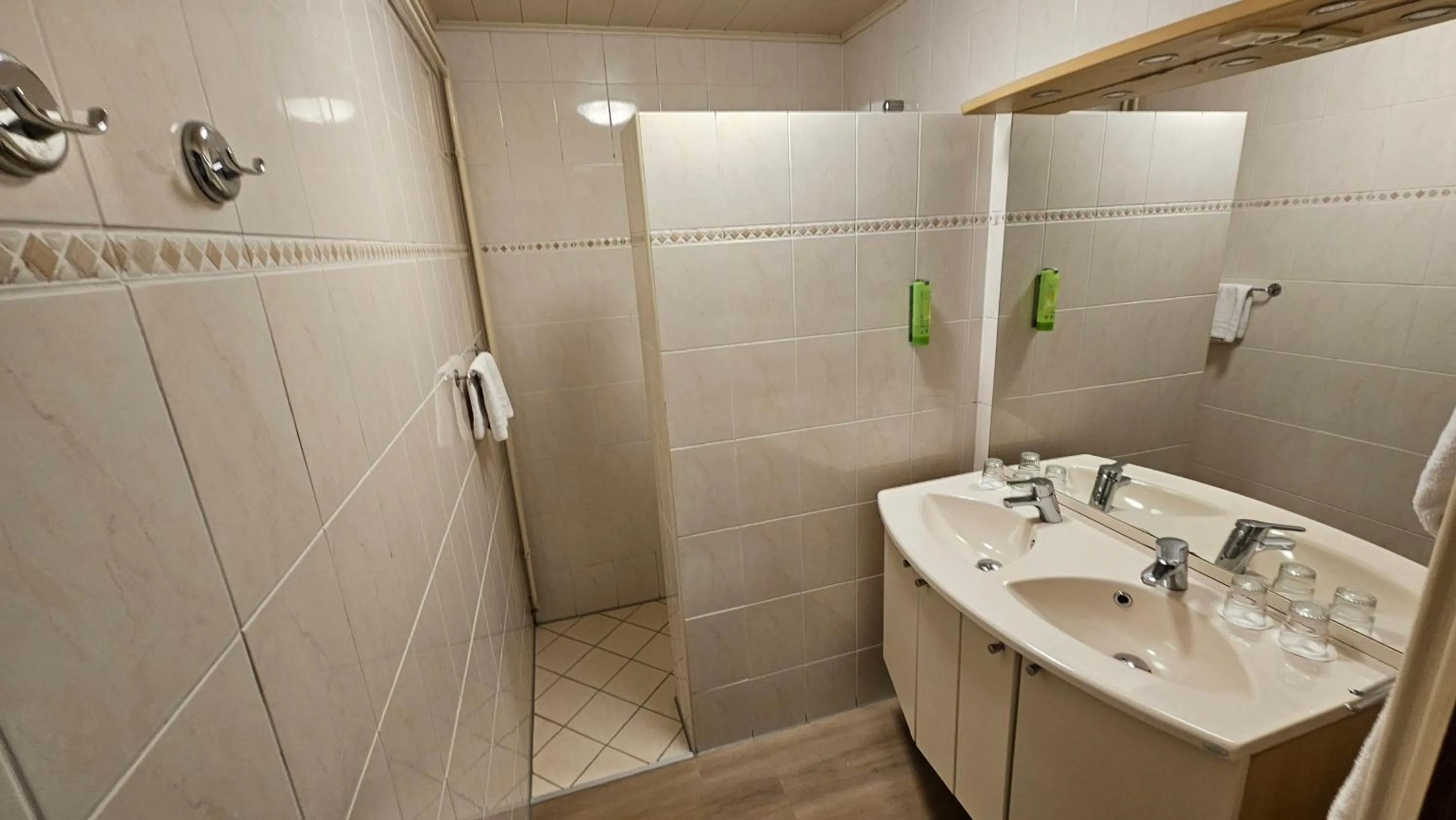 Shower in Aparthotel Delden