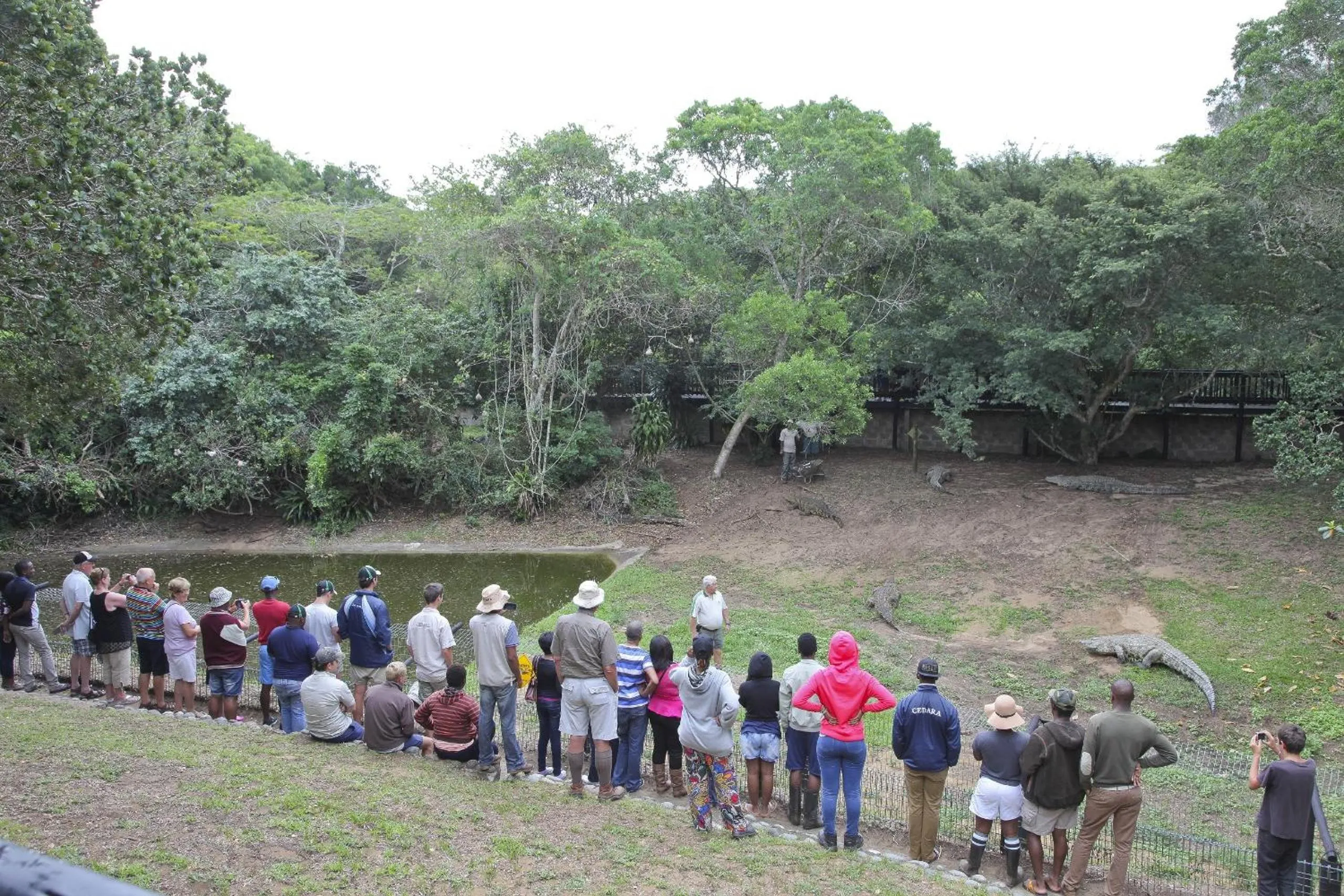 Entertainment in St Lucia Lodge
