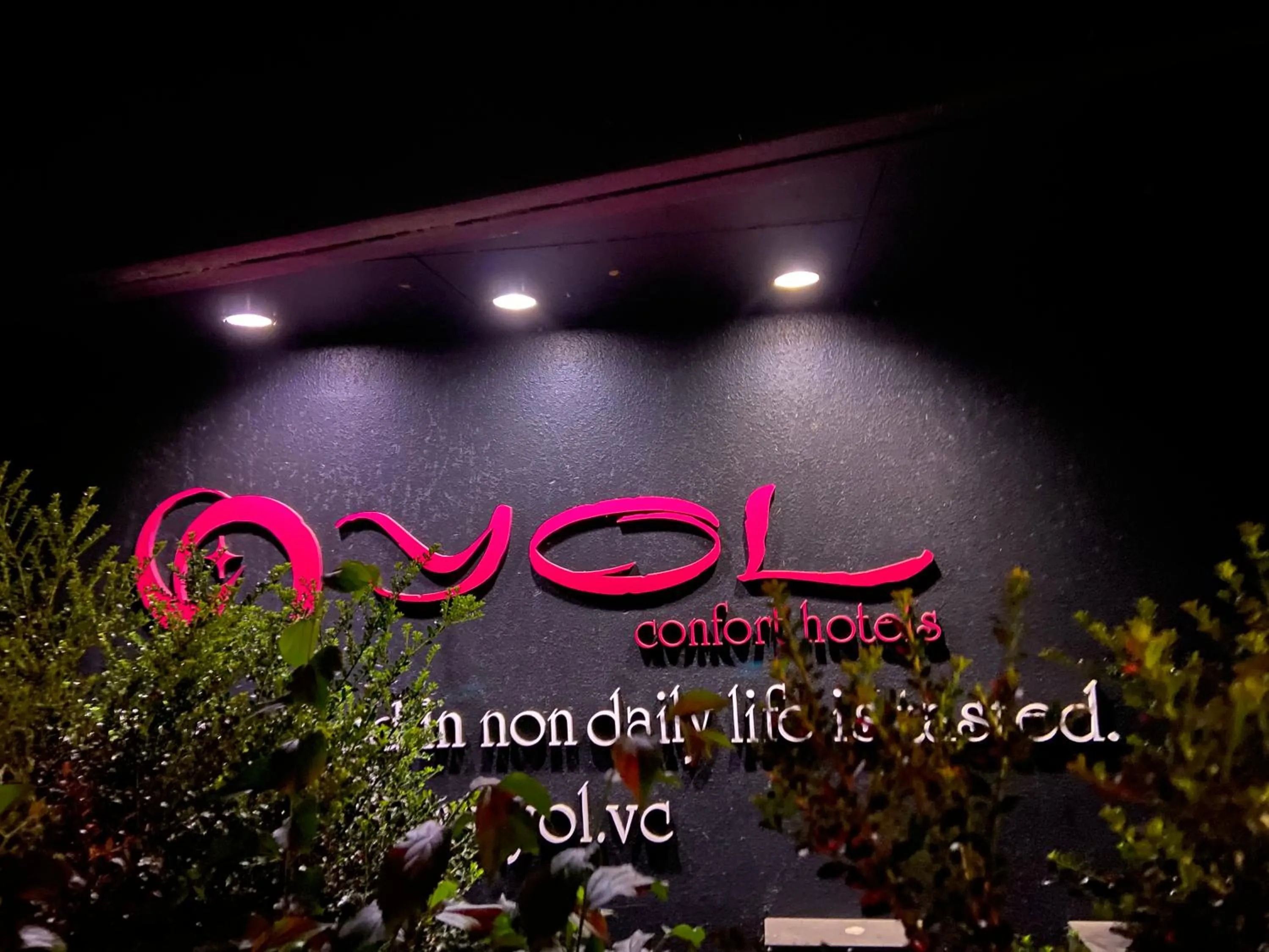 Property building in YOL