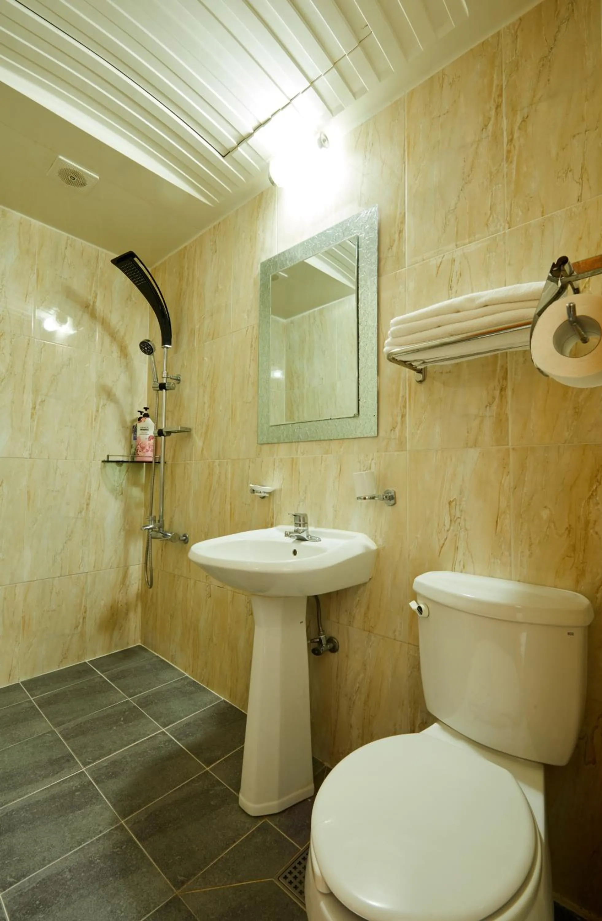 Shower in California Hotel