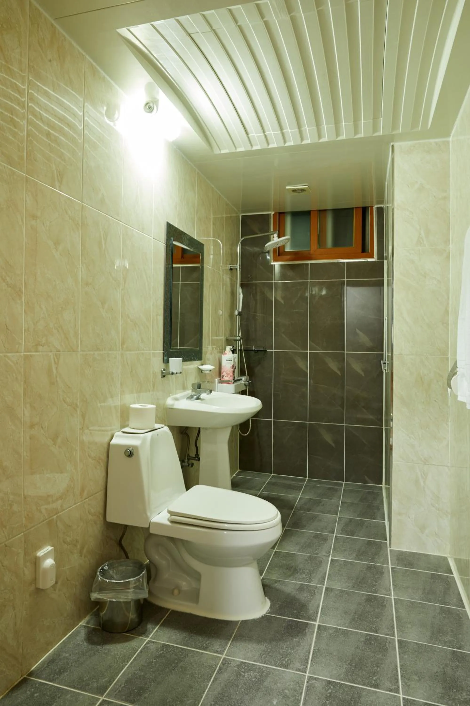 Shower in California Hotel