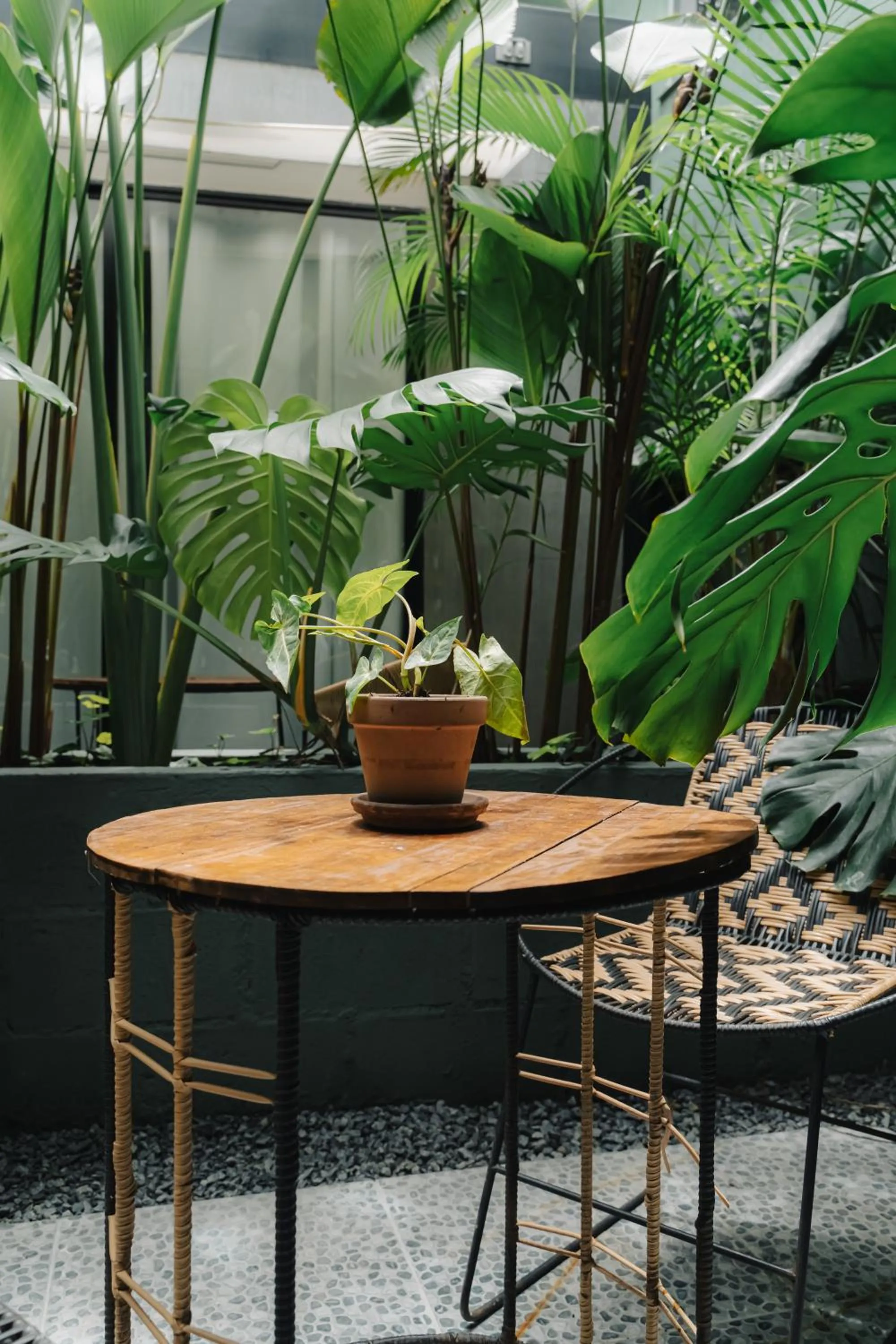 Patio in Poblado Muuk Hotel Boutique Campestre