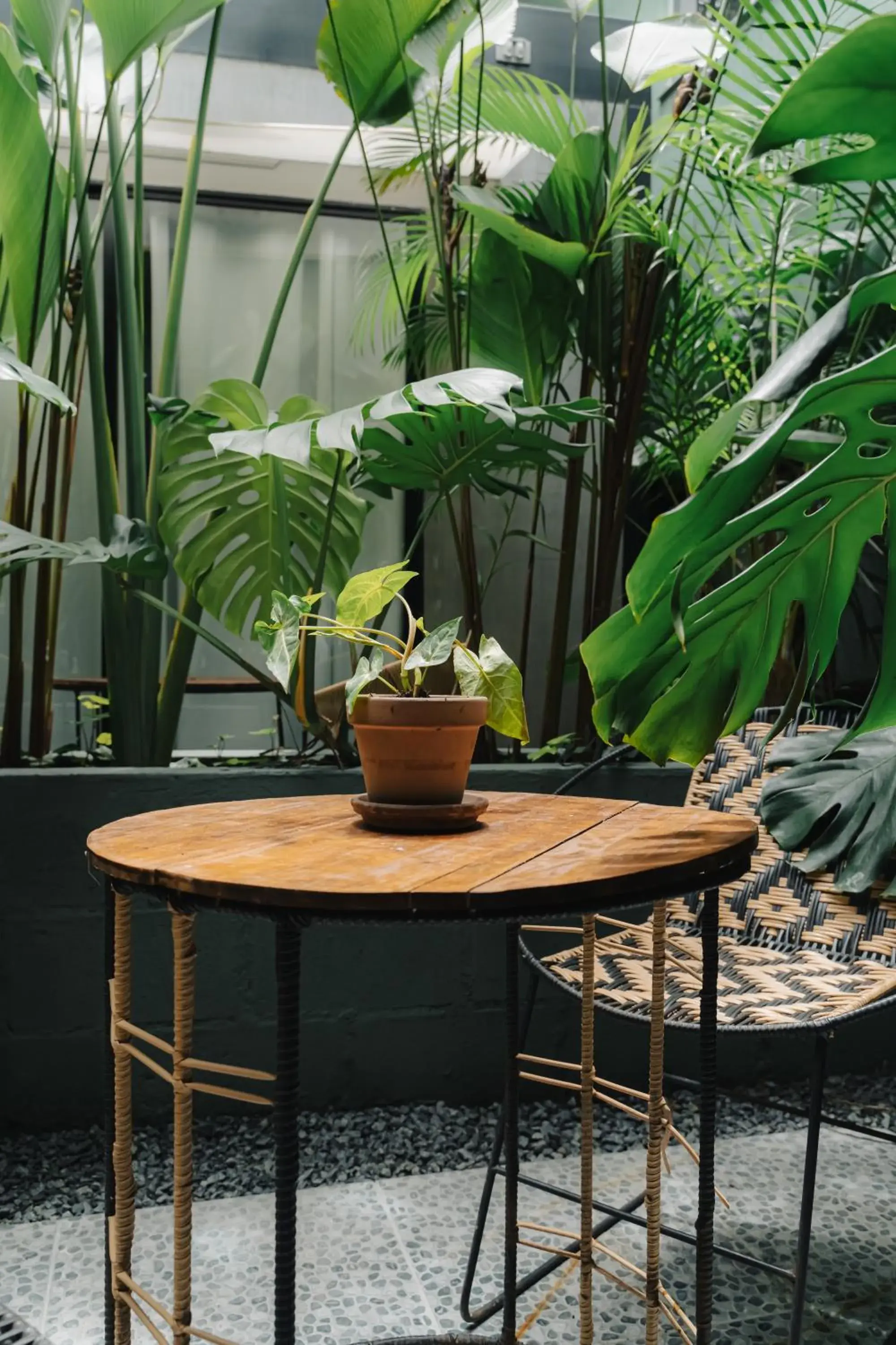 Superior King Suite in Poblado Muuk Hotel Boutique Campestre Superior King Suite in Poblado Muuk Hotel Boutique Campestre