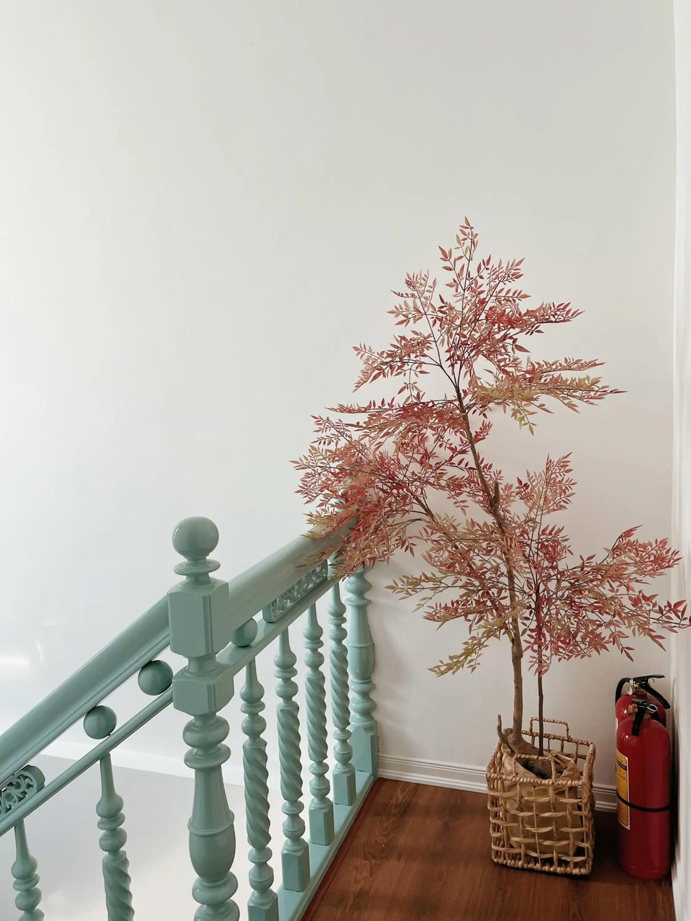 hair dresser in Under the Sun Homestay