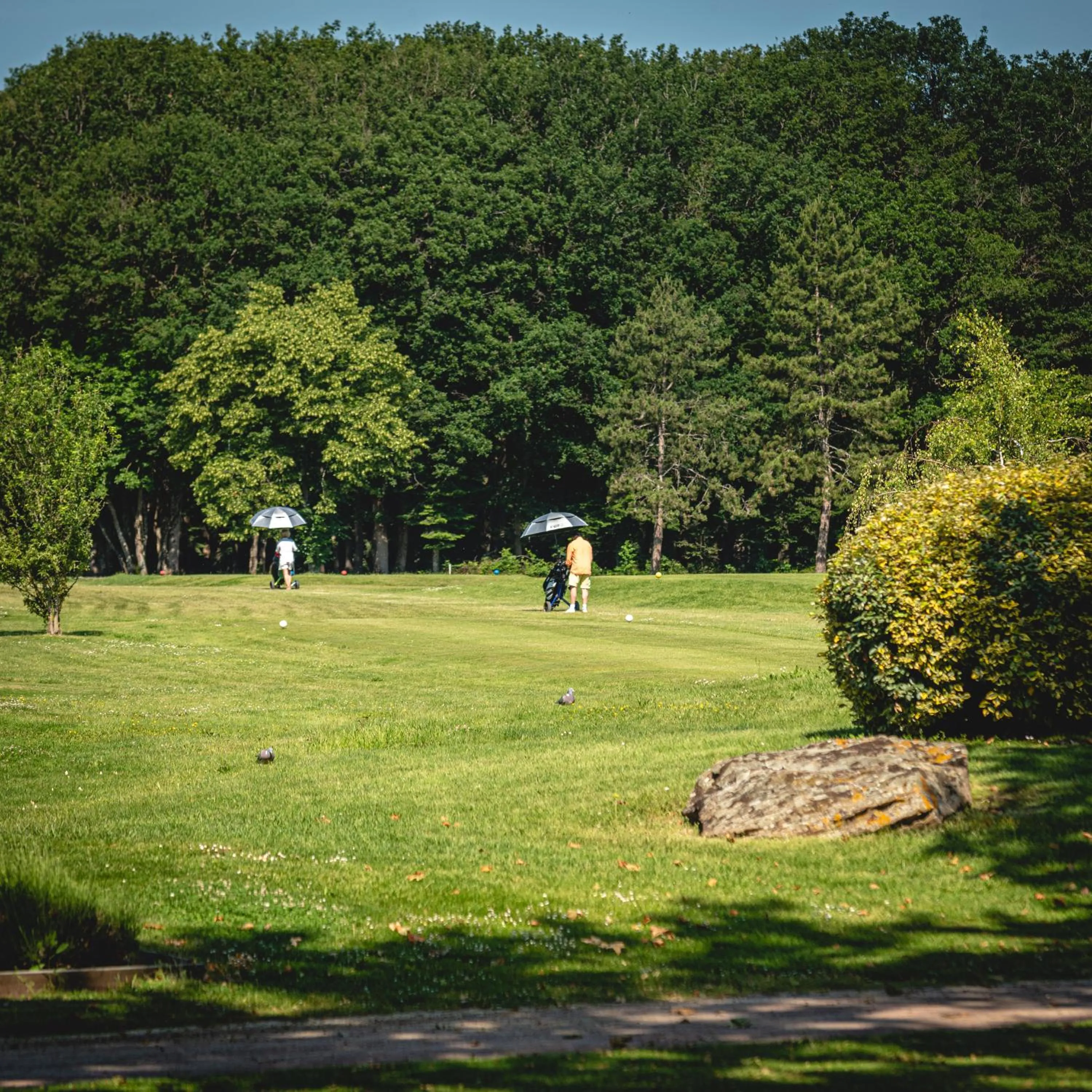 Golfcourse in Domaine de Roiffé