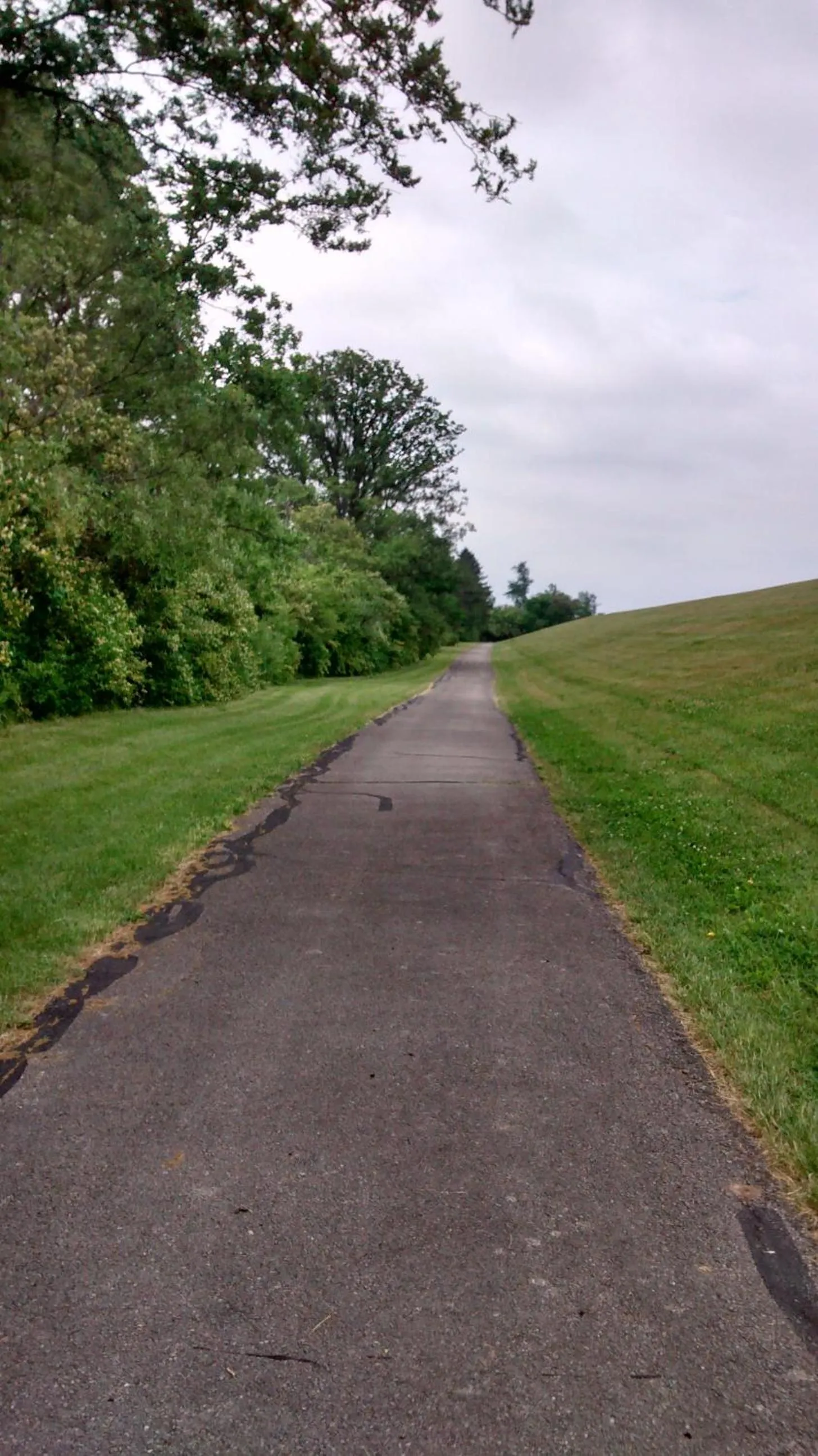 Other in Fountain Inn