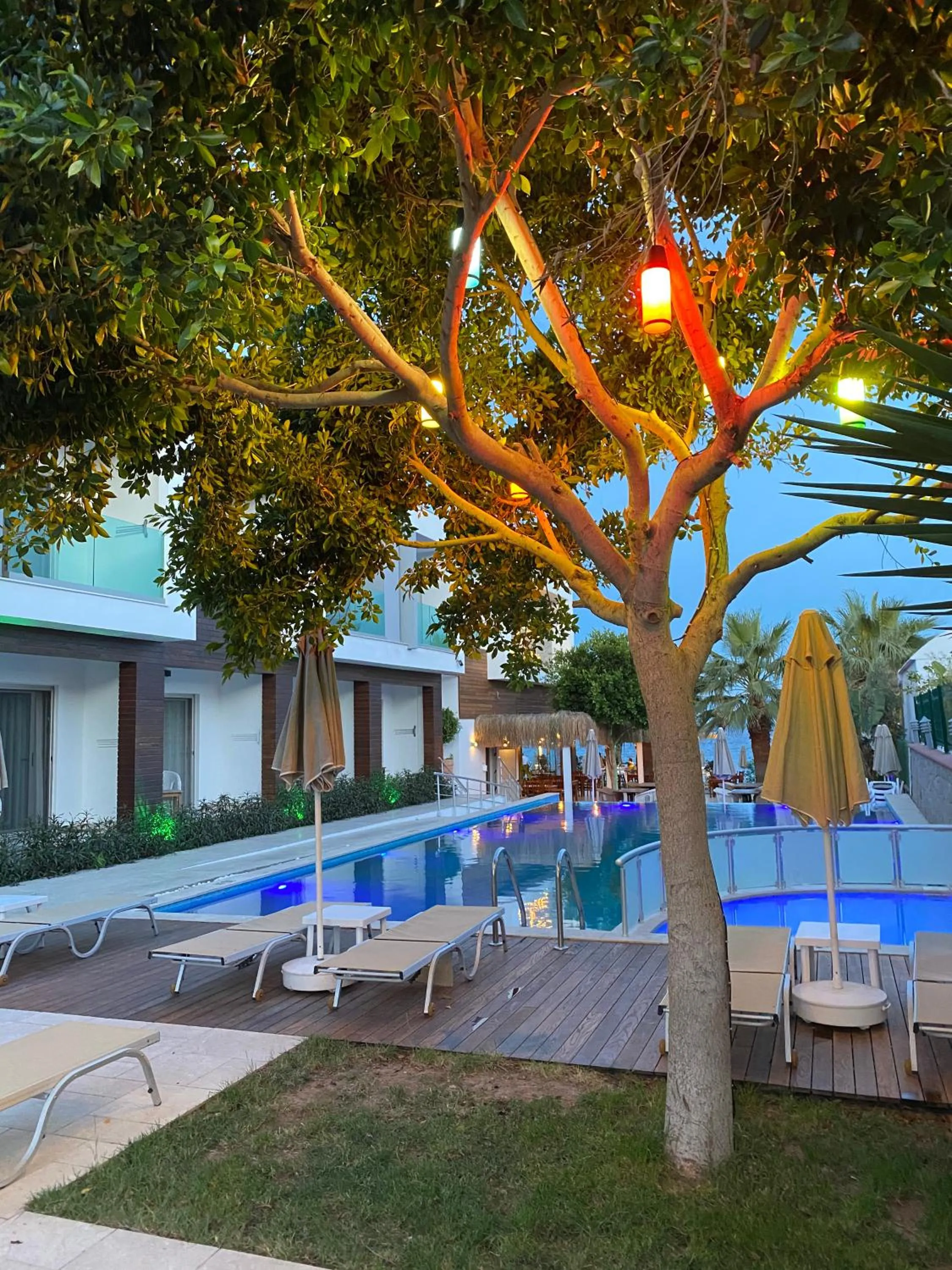 Pool view in Zest Exclusive Hotel & Spa