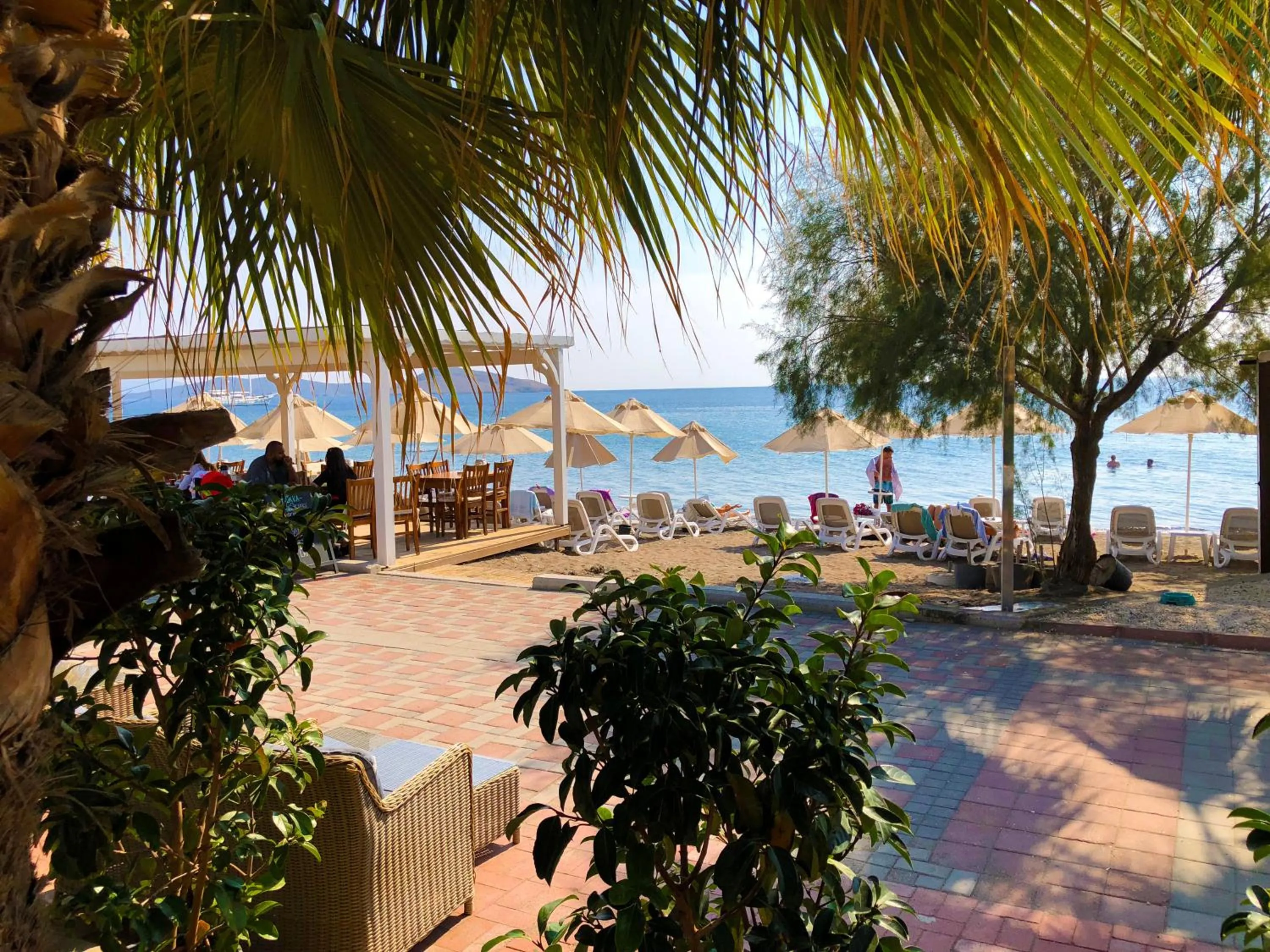 Beach in Zest Exclusive Hotel & Spa